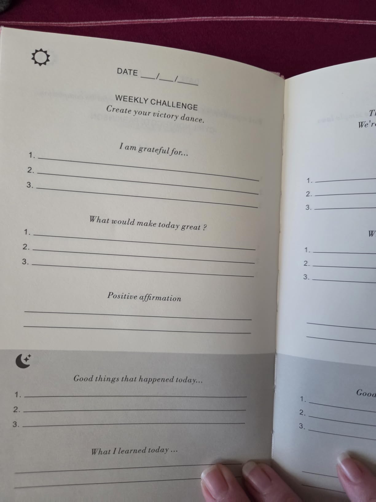 The Gratitude Journal - for More Mindfulness, Happiness, Positive Vibes, Affirmations, Productivity, and Self Reflection -Undated Daily Journal customer photo 2