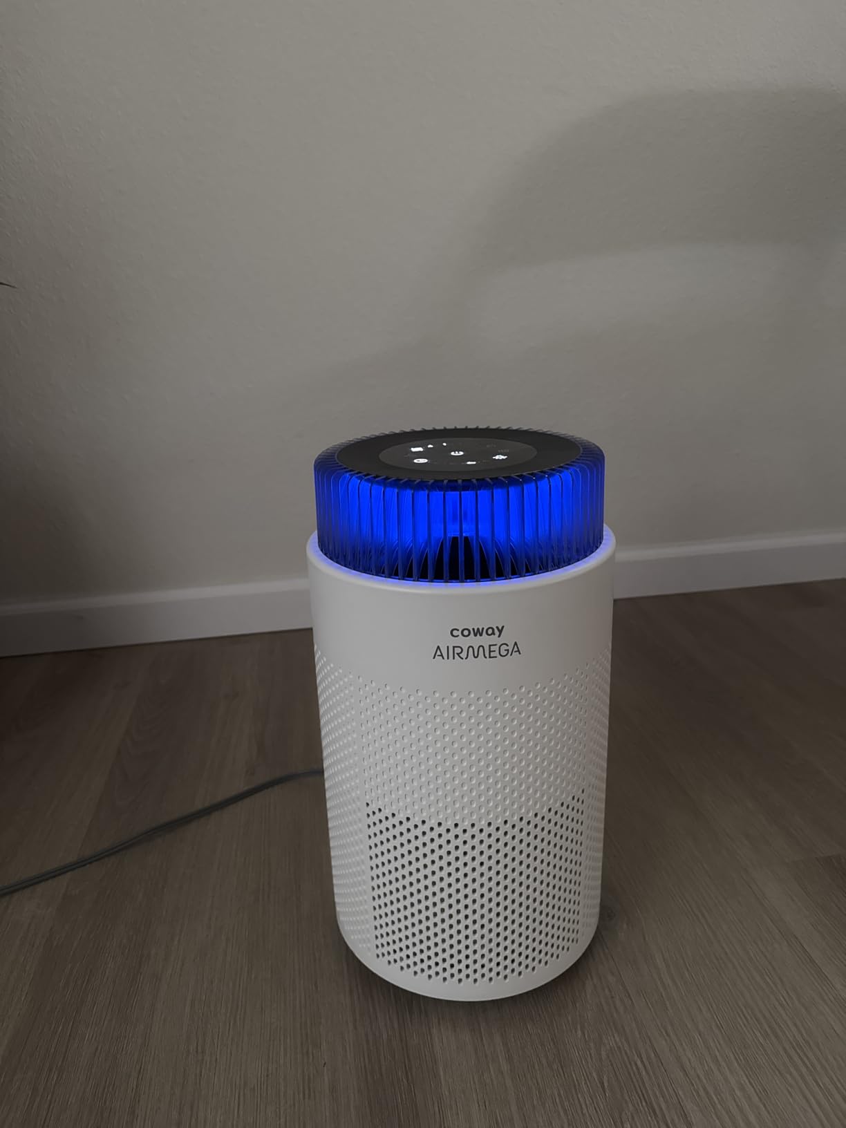 COWAY Air Purifiers for Home up to 810 ft², HEPA and Carbon Filter for Smoke, Allergies, Pet Dander, Odor, AQI Monitor, Auto Mode, Timer, Filter Indicator, Night Light, 2yr Warranty, Airmega 100 White customer photo 2