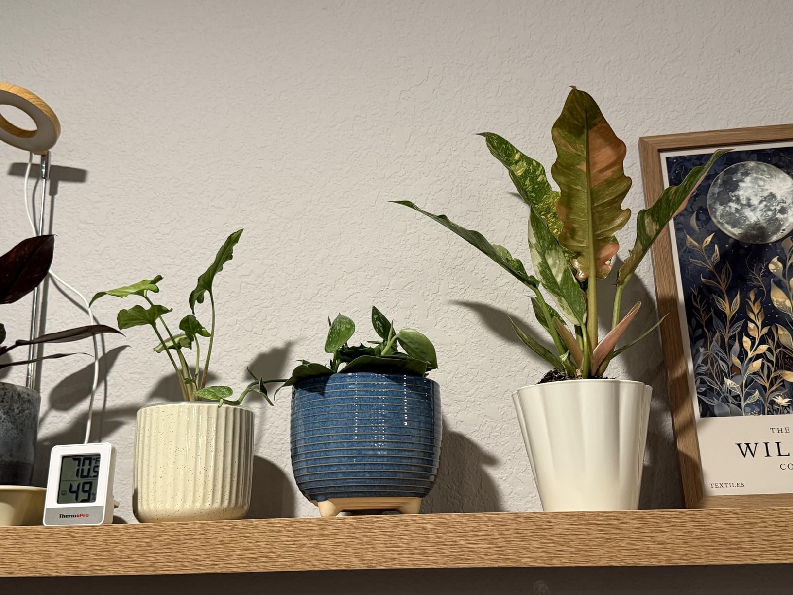 LE TAUCI Ceramic Plant Pots, 5.1 + 6.4 Inch Footed Pots for Plants, Modern Flower Pots for Home and Office, Indoor Planters with Drainage, Reactive Glaze White customer photo 1