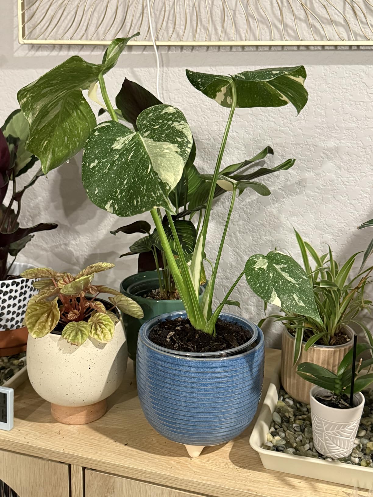 LE TAUCI Ceramic Plant Pots, 5.1 + 6.4 Inch Footed Pots for Plants, Modern Flower Pots for Home and Office, Indoor Planters with Drainage, Reactive Glaze White customer photo 2