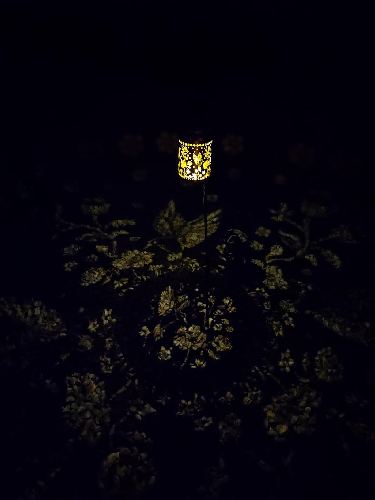 Solar Lanterns Outdoor Waterproof Hummingbird Garden Decor Gifts for Women - Hanging Solar Lights Metal Solar Decoration customer photo 1