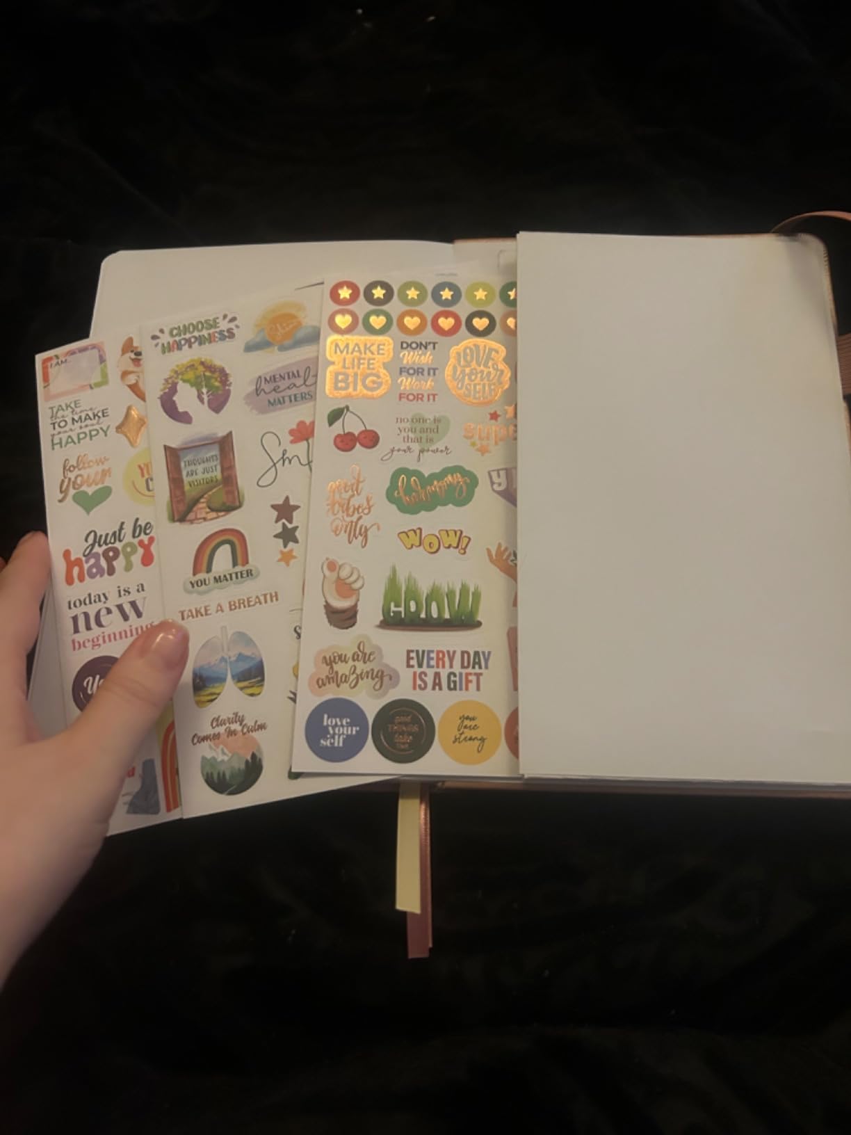 Clever Fox Mental Health & Anxiety Journal - Guided CBT Journal with Prompts for Self Help & Stress Relief - Mood & Emotion Tracker, 5.8x8.3