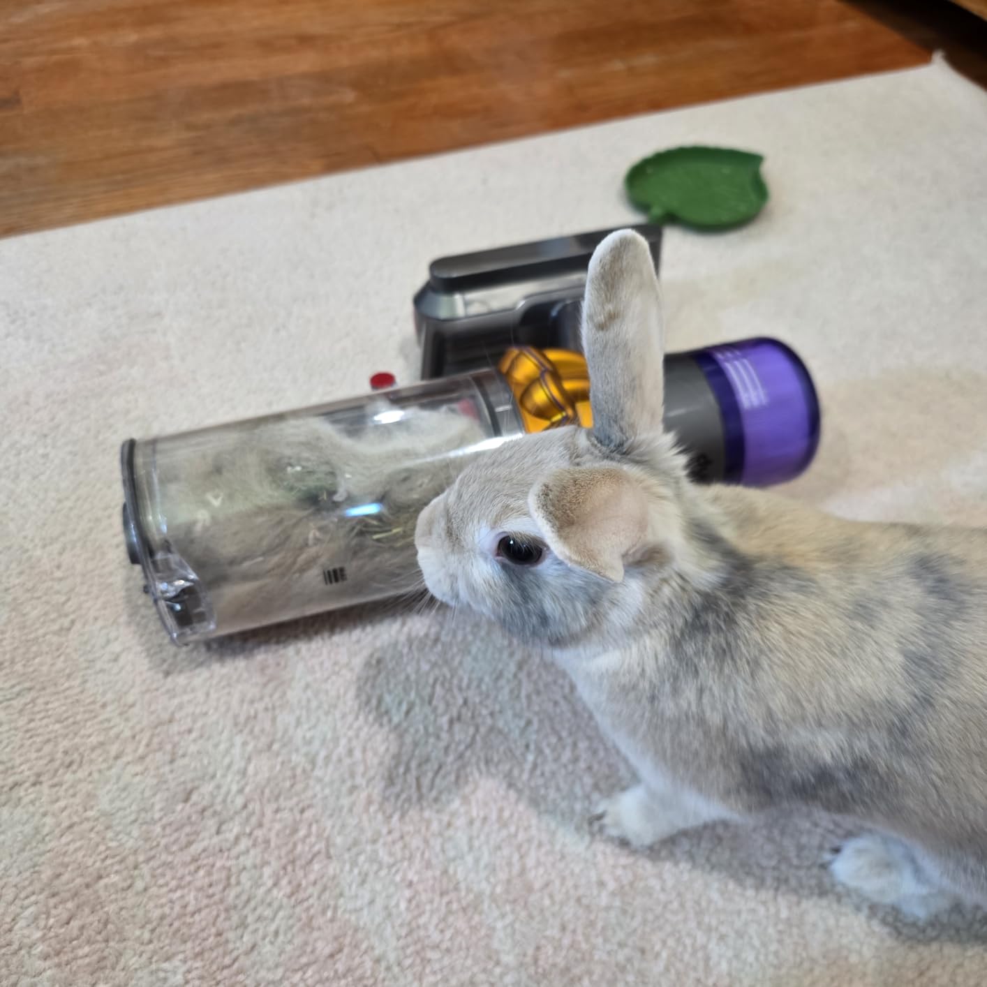 Dyson V15 Detect Plus Cordless Vacuum, Illumination Reveals dust, 240AW, 3 Power Modes, Up to 60 Minutes, Deep Cleans Hard Floors and Carpets, Detangles pet Hair, Converts to Handheld customer photo 2