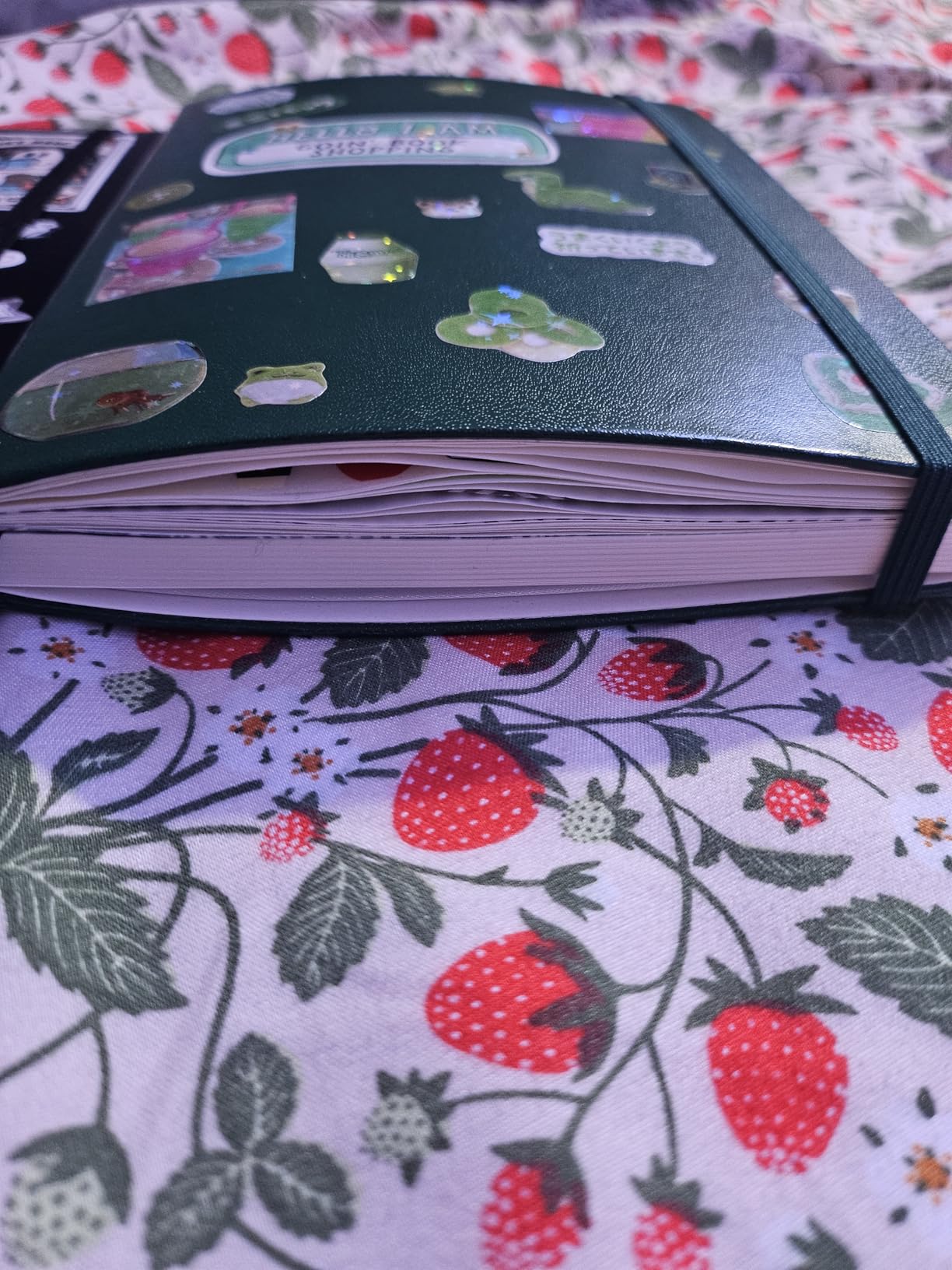 PAPERAGE Dotted Journal Notebook, (Sage Green), 160 Pages, Medium 5.6 in x 8 in - 100 GSM Thick Paper - Hardcover Journaling Notebook for Work, School & Bullet Journaling customer photo 1