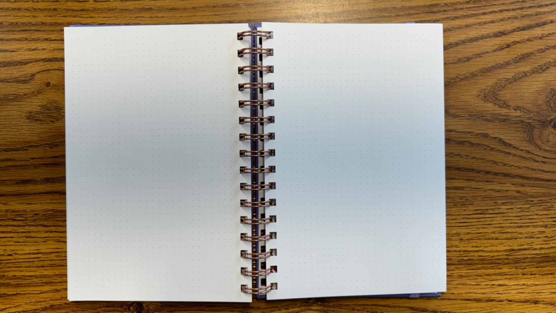 Clever Fox Academic Student Planner 2026-2027, School, College Rose Gold | 6.3 x 8.5 in, Spiral-bound hard cover, Weekly and monthly class calendar, block schedule, middle & high school supplies customer photo 1