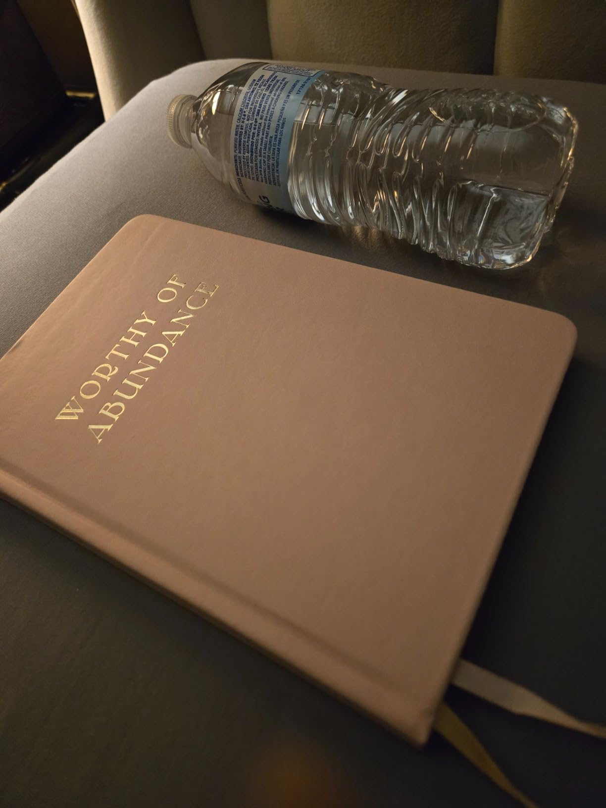 Manifestation Journal - Worthy of Abundance - Manifest Rich Life, Develop Millionaire Money Mindset - Daily Guided Gratitude Luxury Miracle Planner with Prompts for Women & Men Gift customer photo 2