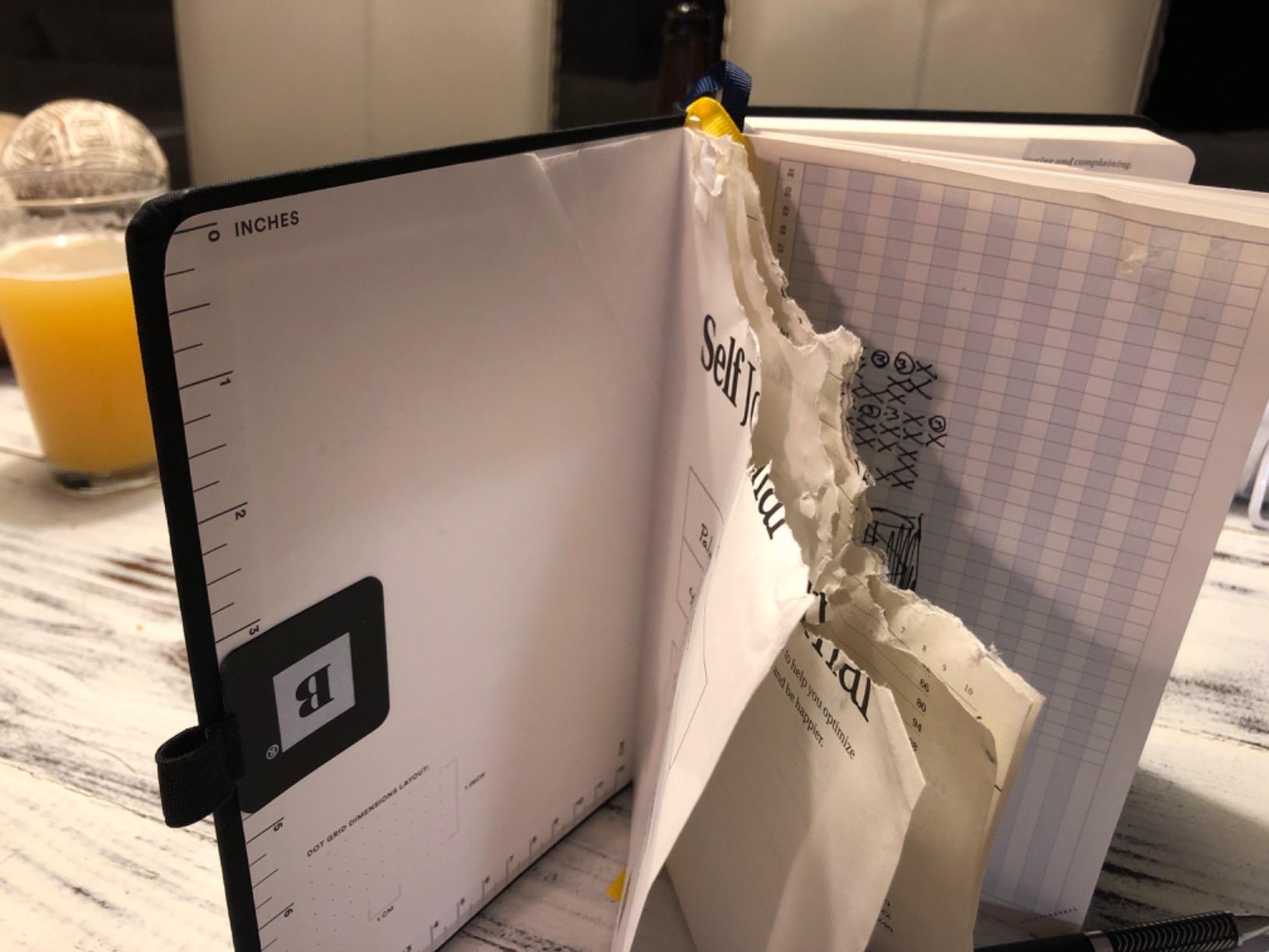 BestSelf Self Journal - Undated 13-Week Goal Planner (Forest Green) | ADHD-friendly layout with gratitude, habit tracker & weekly reflection - science-backed prompts for real results. customer photo 1