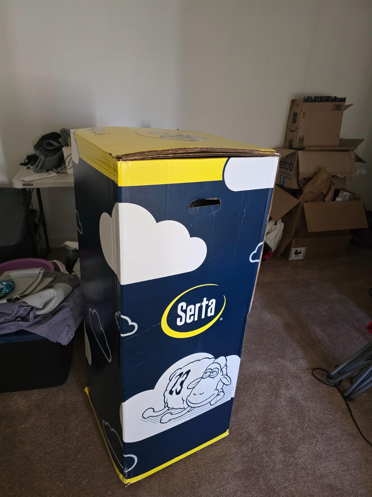 Serta Sleeptrue Firm 12