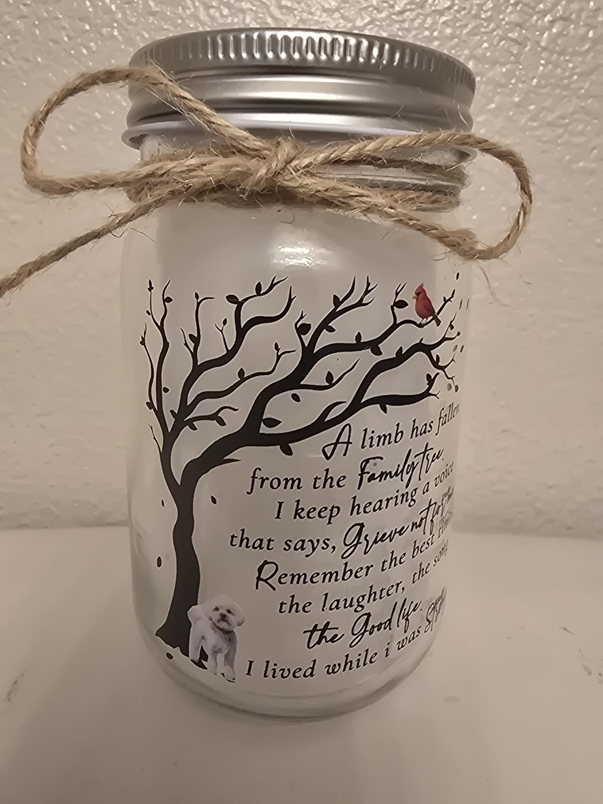 Memorial Gifts Mason Jar Light, Red Cardinal - Memory Gifts for Loss Loved Ones, Bereavement Gift Idea, Sympathy Loss of Mother, Dad, Son, Husband customer photo 1