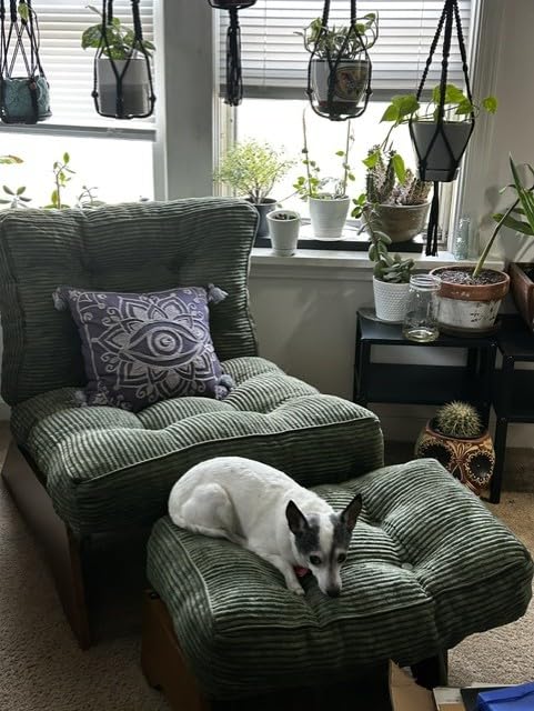 MAXYOYO Accent Chair with Ottoman, Lounge Chair with Adjustable Backrest, Beige customer photo 2