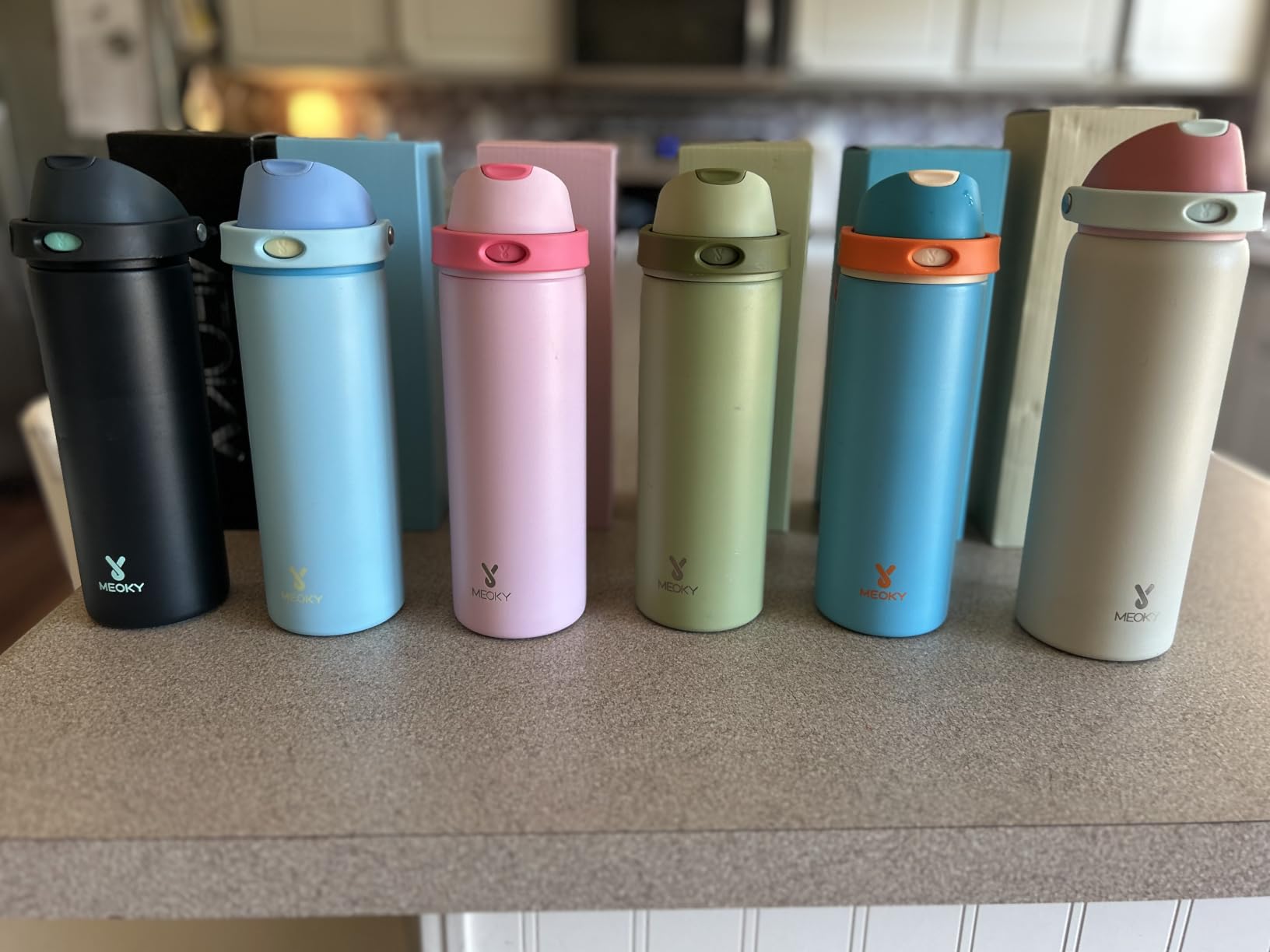 Meoky 24 oz Insulated Water Bottle, Stainless Steel Water Bottle with 2-in-1 Straw and Spout Lid, Leak Proof, Cold for 24 Hours, Fits in Car Cup Holder, BPA-Free customer photo 2