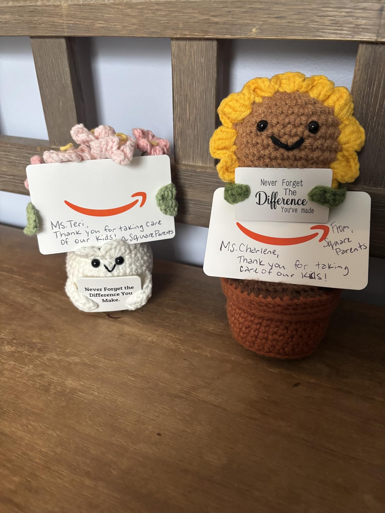 YOOJEE Forget-Me-Not Crochet Flower Potted Plant Gift | Difference You Make Gift, PET Display Box, Teacher Appreciation, Coworker, Employee, Thank You Gift, Handmade Desk Decor customer photo 2