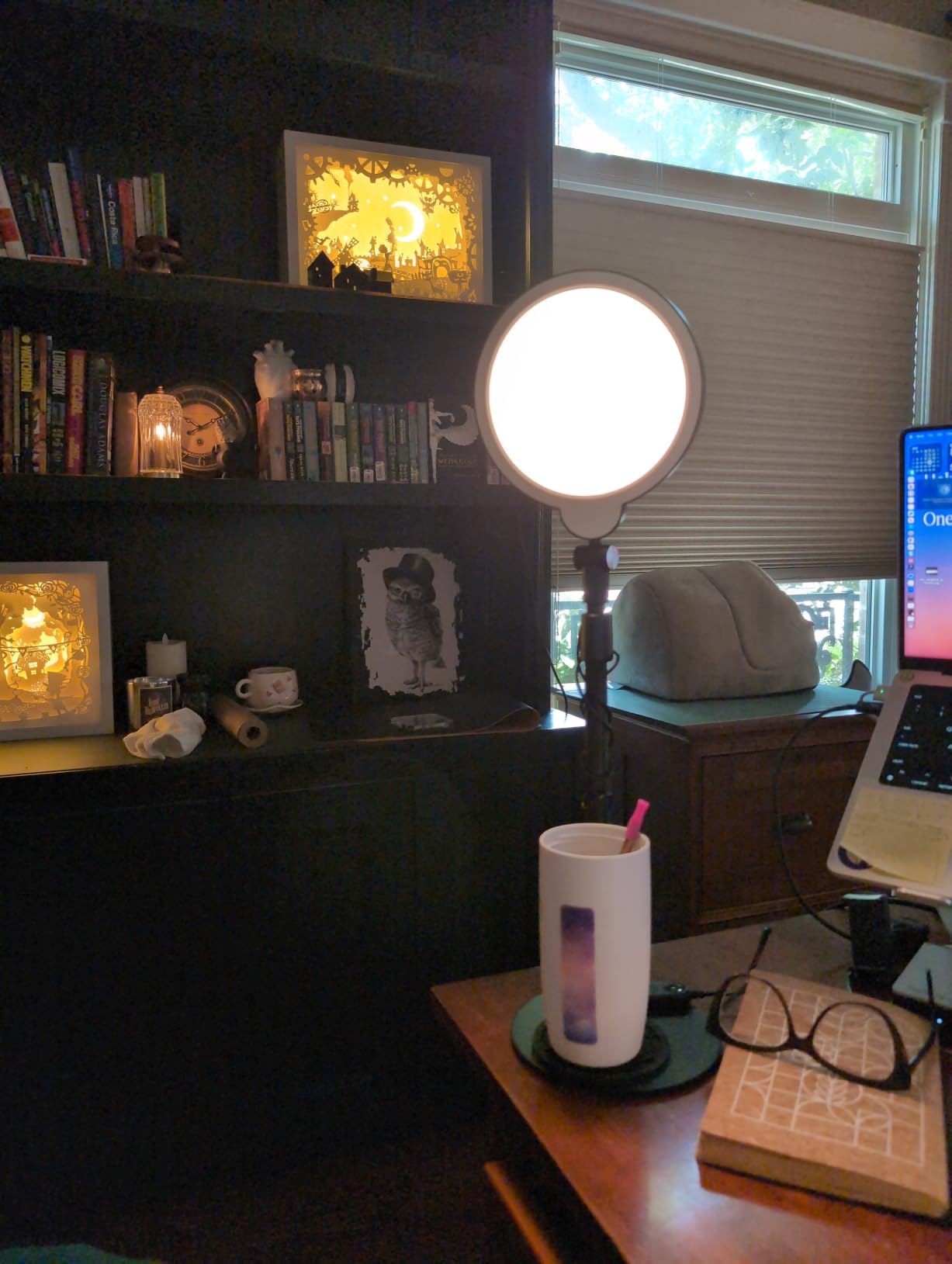 Desk Ring Light with Stand for Computer, 30 Modes Video Conference Lighting | Adjustable Desk Light for Video Recording, Zoom Lighting for Computer, Webcam, Podcast, Calls, Home Office, CRI 97.8 customer photo 2