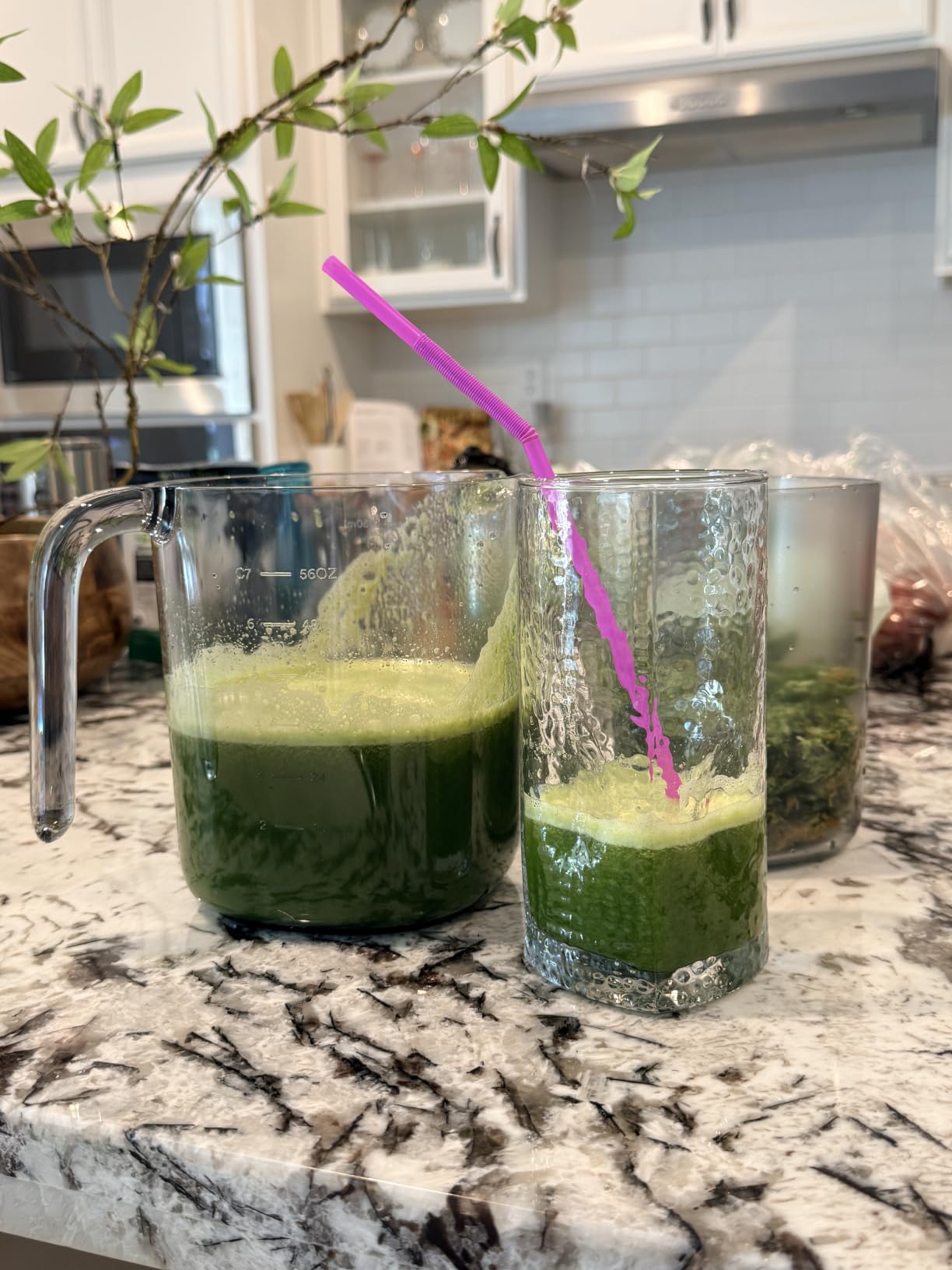 Nama J3 Compact Cold Press Juicer - Space Saving & Self Feeding for Hands-Free Operation - Lightweight, Portable Zero Waste Slow Masticating Juicer - Easy Cleanup & Assembly - White customer photo 1