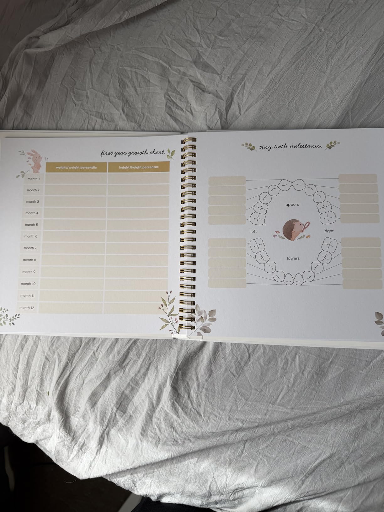 Baby Book Keepsake, First 5 Years Baby Memory Book Girl, Boy Journal (Muse) | Beautiful 100 Pages Newborn Milestone Scrapbook Journal, From Pregnancy to Age 5, First Time Mom Gifts for Shower, Registry customer photo 1