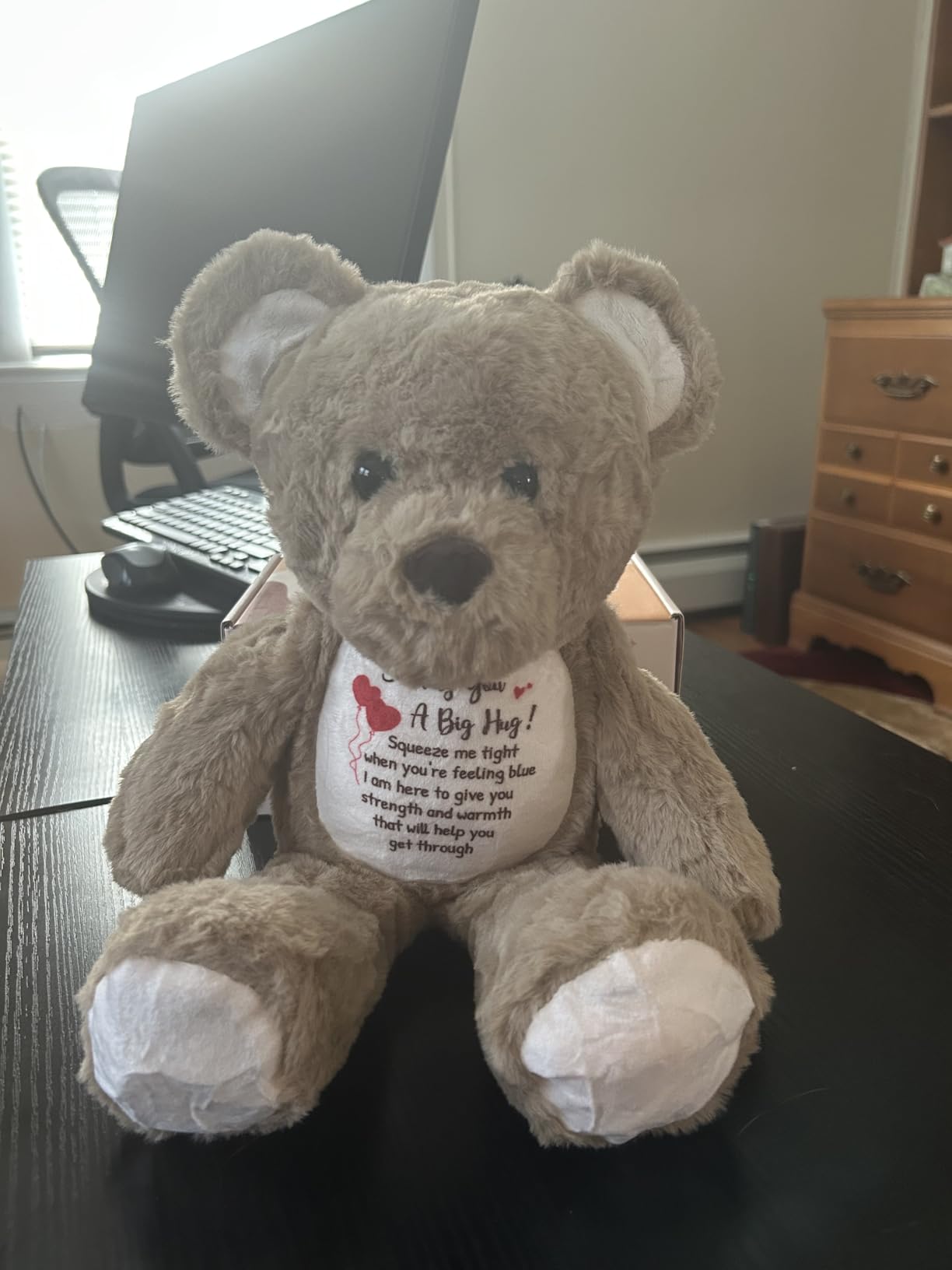 Soft Teddy Bear Plush Toy, A Big Hug Get Well Soon Comfort Bear with Sympathy Message, Emotional Support Gift, 15