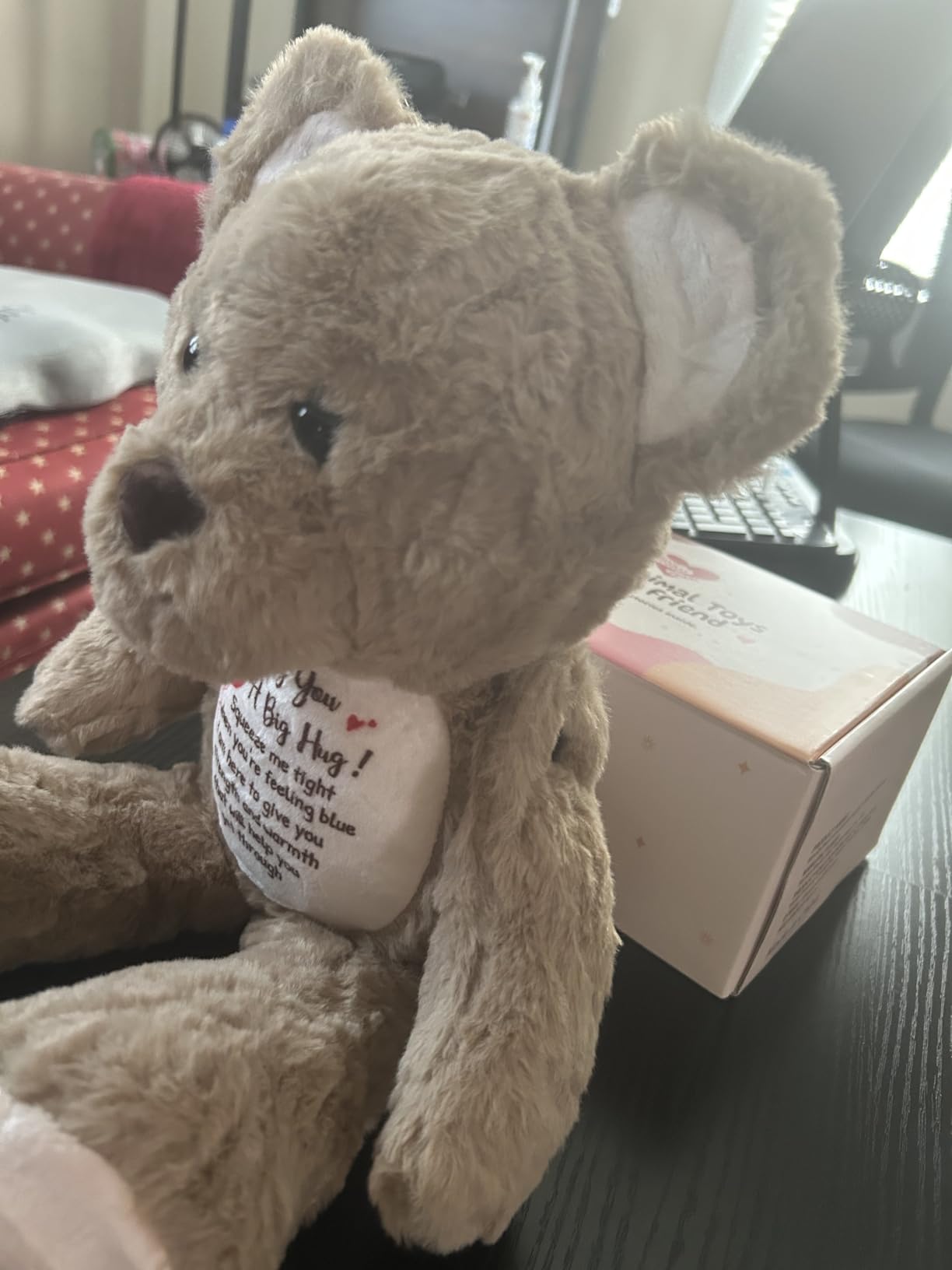Soft Teddy Bear Plush Toy, A Big Hug Get Well Soon Comfort Bear with Sympathy Message, Emotional Support Gift, 15