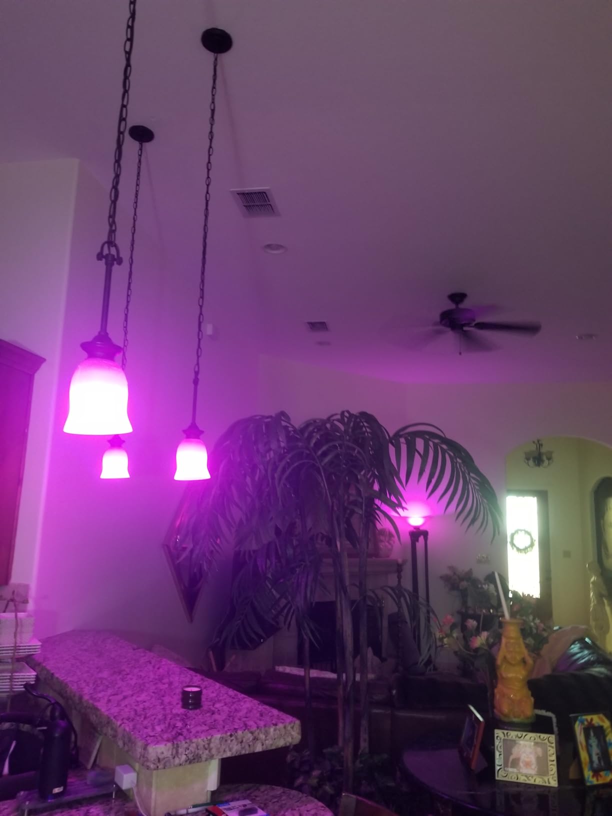 Philips Hue Essential Smart LED A19 Bulb, 4-Pack | White & Color Ambiance, E26, 7.2W, 2200K-6500K, 800 Lumens, Dimmable, Works with Alexa, Google Assistant, Apple Home customer photo 2