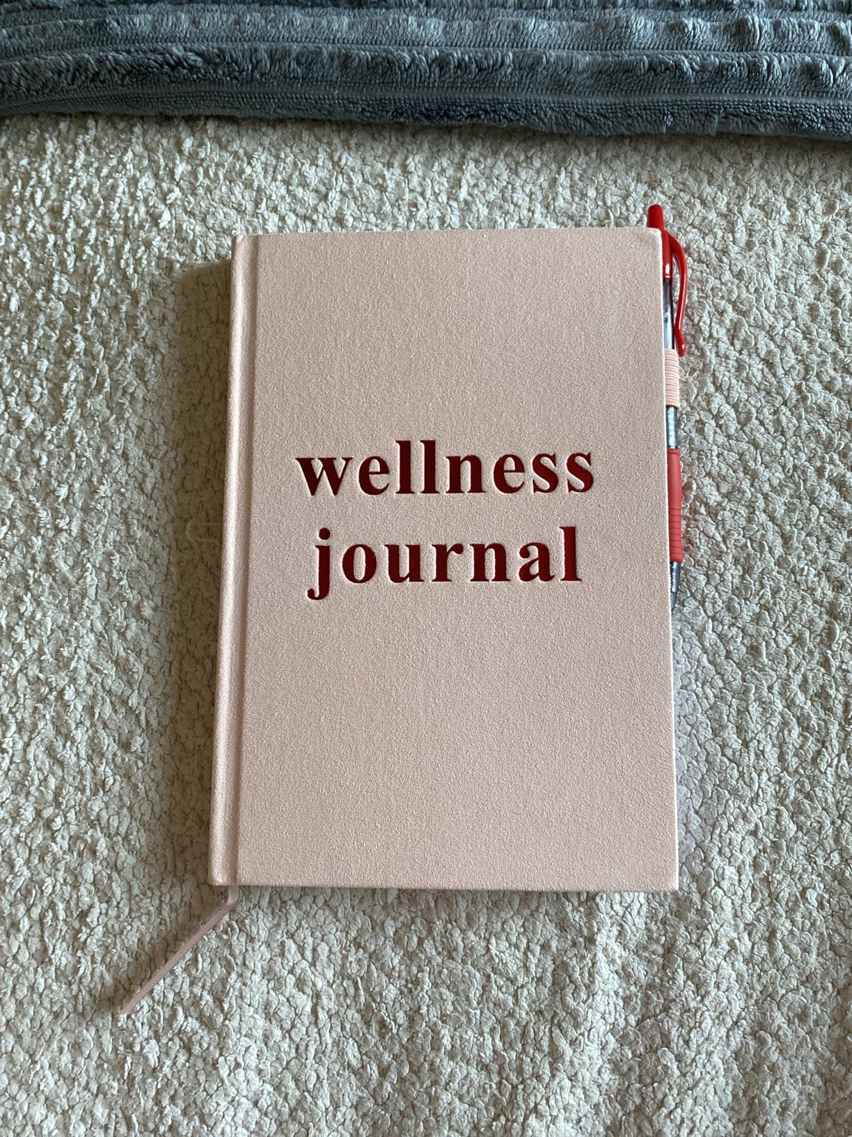 5 MINUTES A DAY Wellness Journal Planner, Daily Self Care Journal, A5 Size | Gratitude & Mindset Mental Health Journal, Goal Tracker, Sleep & Lifestyle Tracker, Mindfulness Diary, Pink customer photo 1