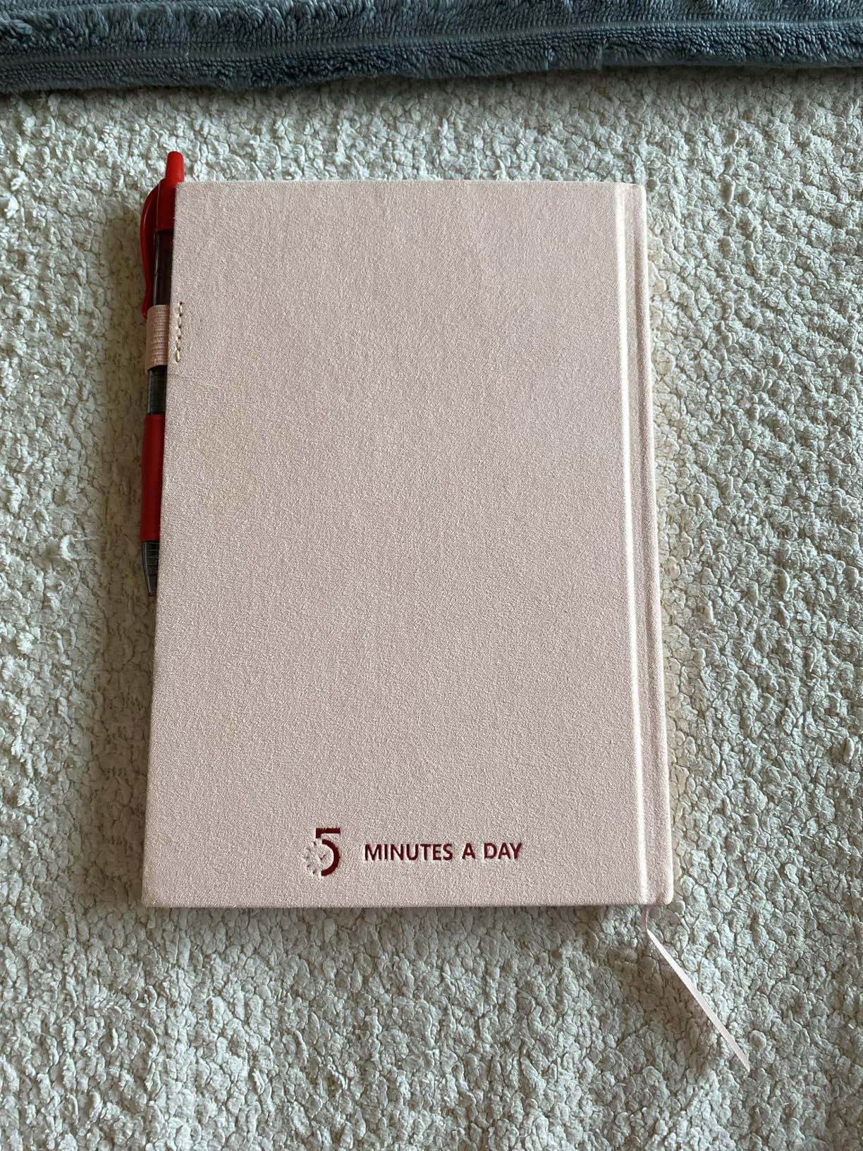 5 MINUTES A DAY Wellness Journal Planner, Daily Self Care Journal, A5 Size | Gratitude & Mindset Mental Health Journal, Goal Tracker, Sleep & Lifestyle Tracker, Mindfulness Diary, Pink customer photo 2