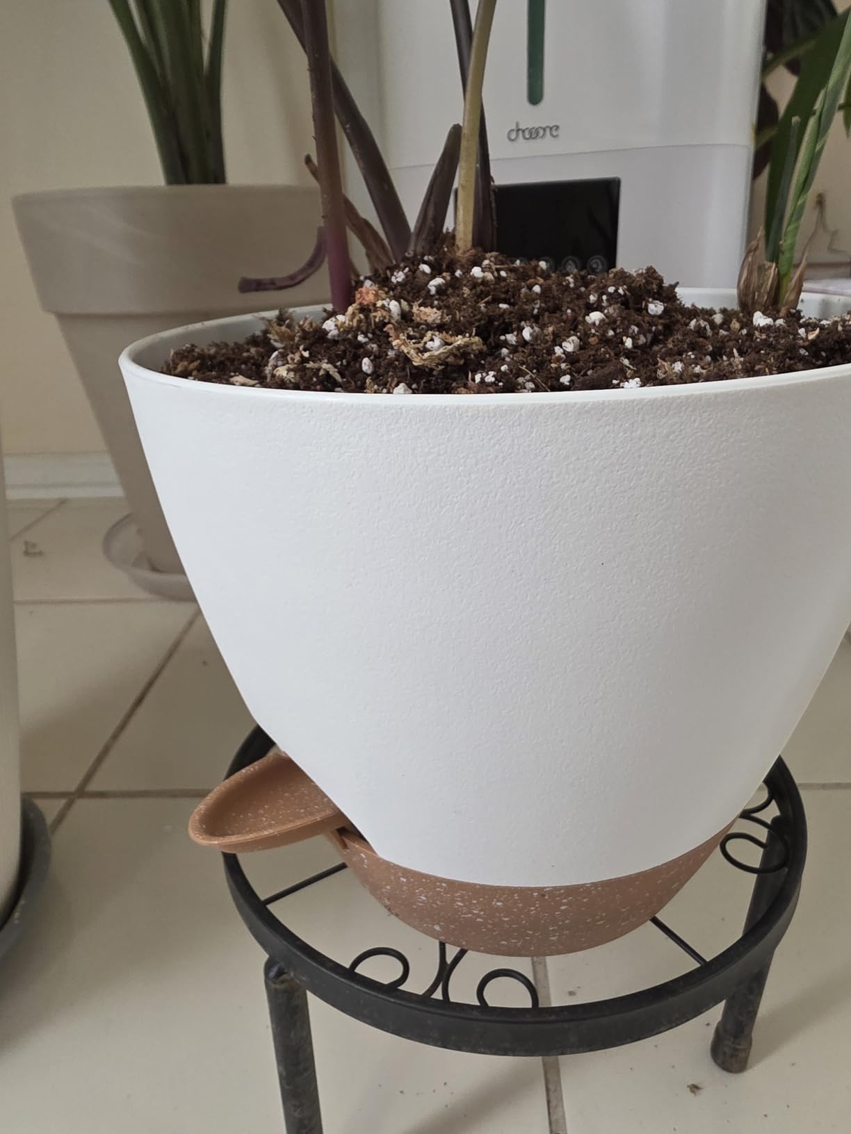 8/9/10 Inch Self Watering Pots, Plastic Flower Pots with Multi Mesh Drainage Holes and Water Level Indicator & Deep Reservoir for Indoor Outdoor Garden Plants and Flowers (White) customer photo 1