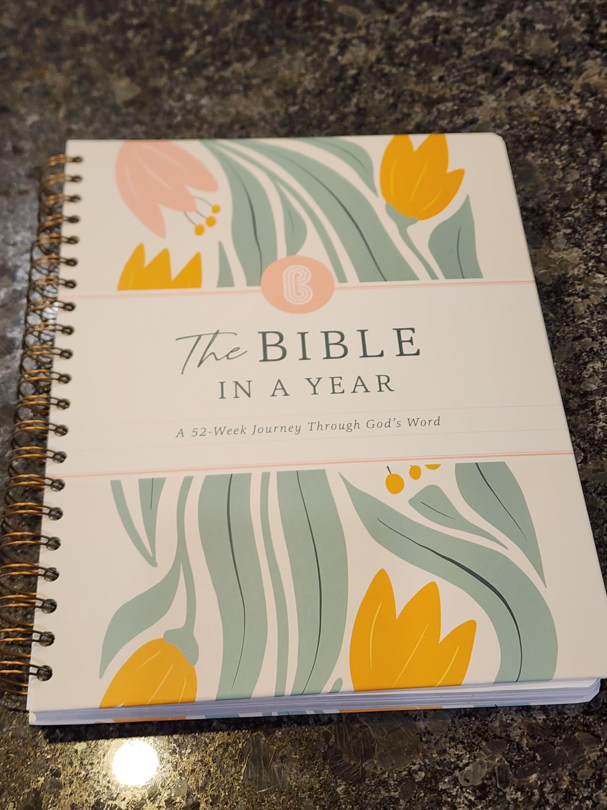 Official Spiral Bible in a Year, 52 Week Bible Study Guide (Floral) | 52-Week Guided Reading Plan, Daily Devotional & Bible Study Journal for Women, Adults & Teens, Wide Margins for Notes, 8.5x11 customer photo 1