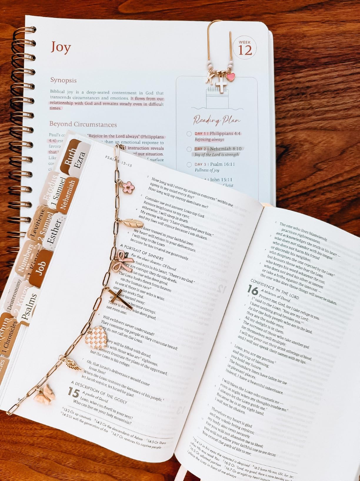 Official Spiral Bible in a Year, 52 Week Bible Study Guide (Floral) | 52-Week Guided Reading Plan, Daily Devotional & Bible Study Journal for Women, Adults & Teens, Wide Margins for Notes, 8.5x11 customer photo 2