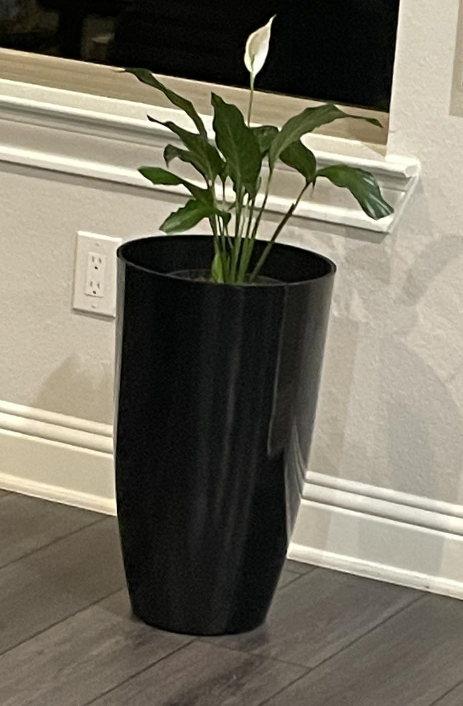 Miracle-Gro Indoor Plant Food Spikes for All Plants, 48 Spikes | Fertilizer Spikes for Houseplants, Flowers, Vegetables, and Herbs customer photo 1