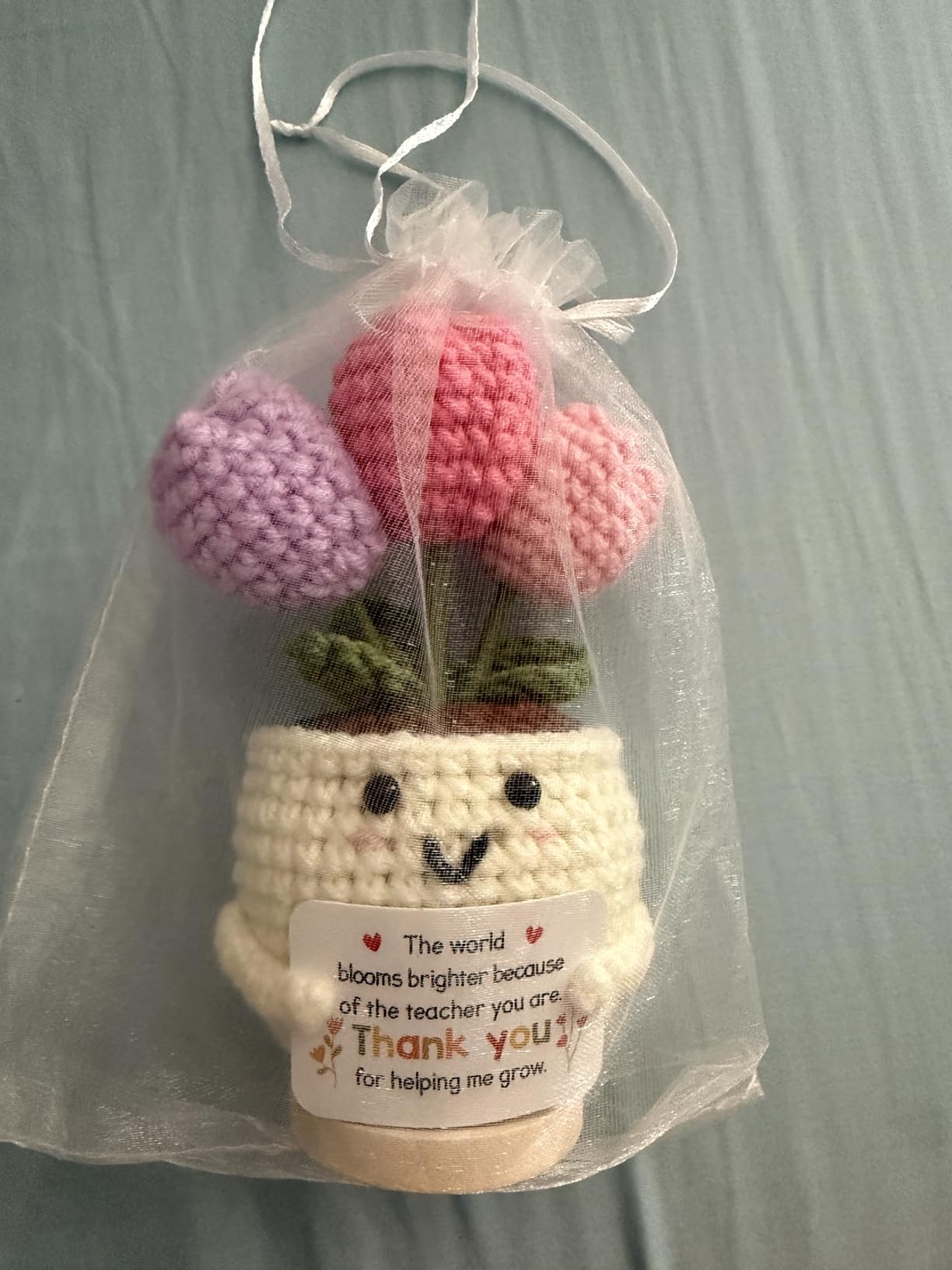 Teacher Appreciation Gifts - Teacher Gifts for Women - Teachers Appreciation Week, Thank You Crochet for Teachers Women - Emotional Inspirational Positive Tulip Doll Toy Figure Crochet customer photo 1