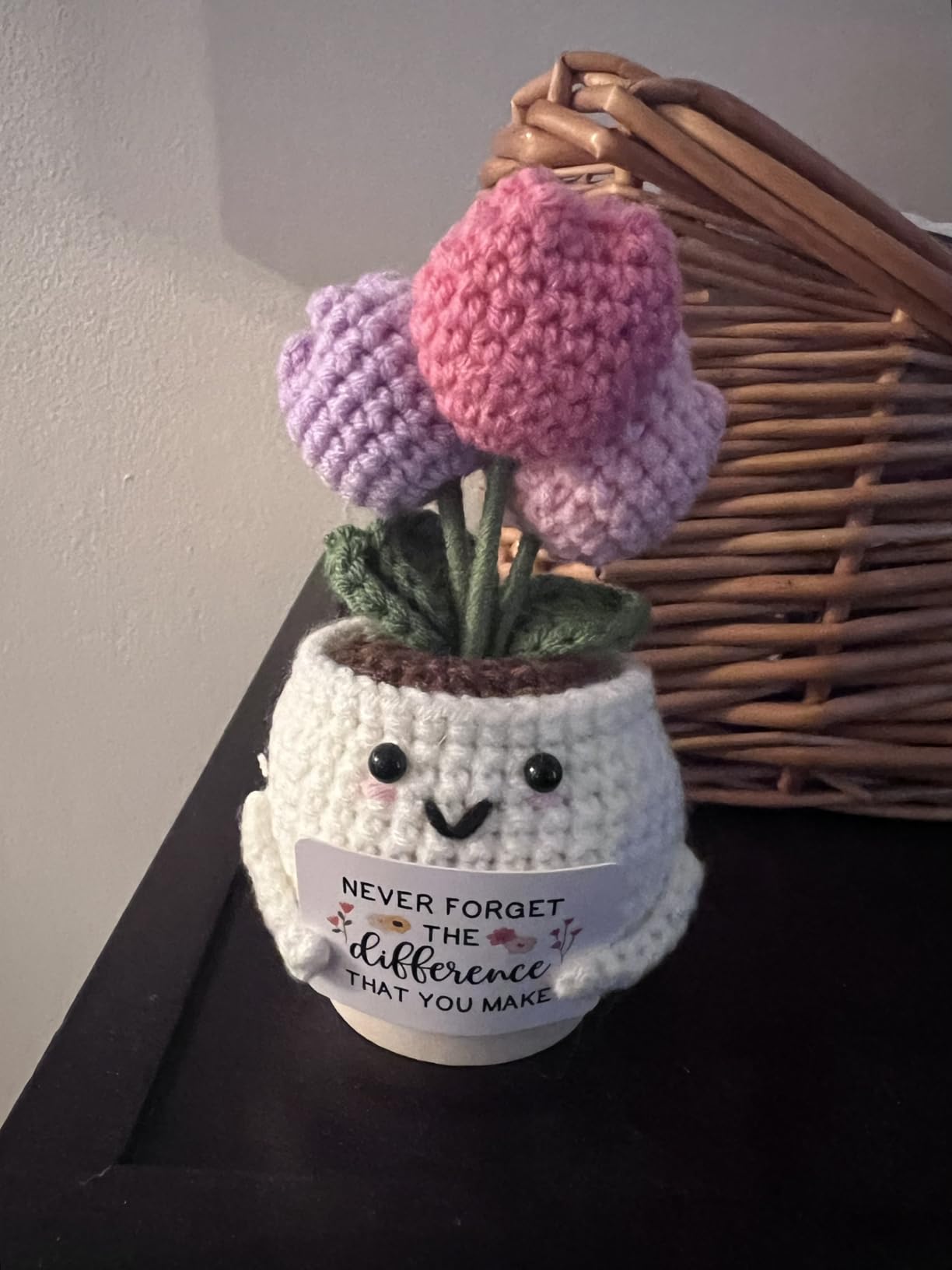 Teacher Appreciation Gifts - Teacher Gifts for Women - Teachers Appreciation Week, Thank You Crochet for Teachers Women - Emotional Inspirational Positive Tulip Doll Toy Figure Crochet customer photo 2