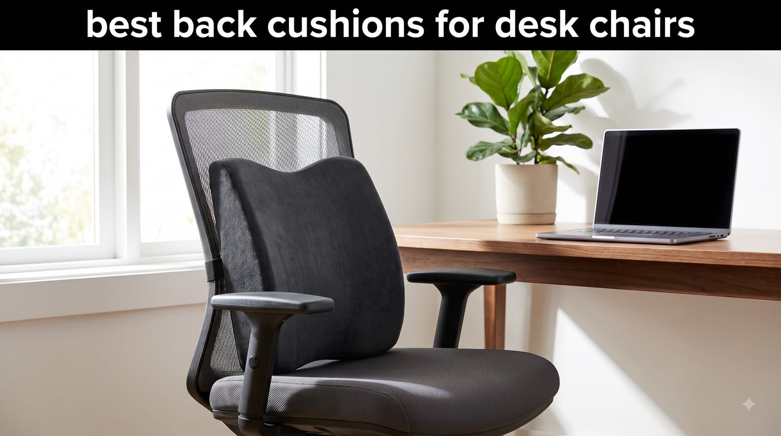 best back cushions for desk chairs