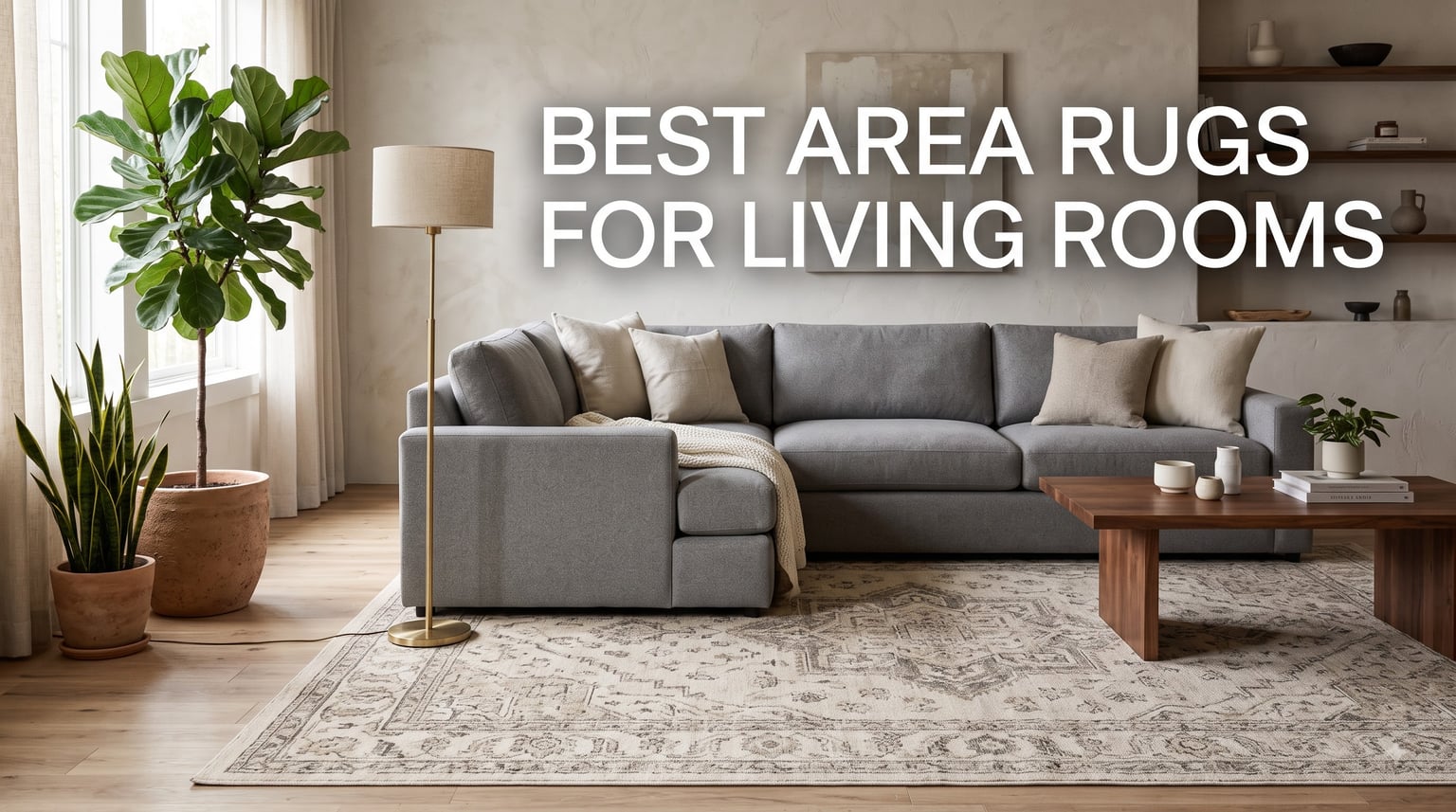 best area rugs for living rooms
