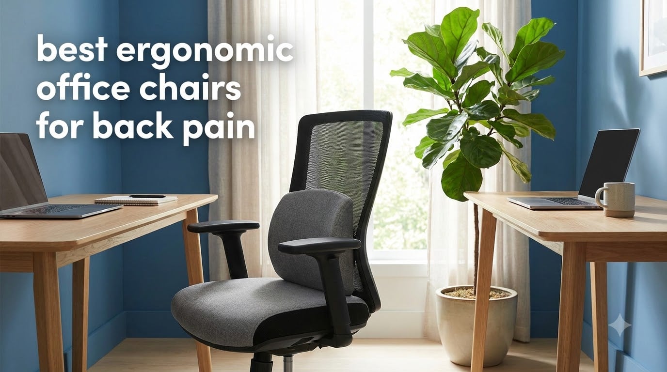 best ergonomic office chairs for back pain