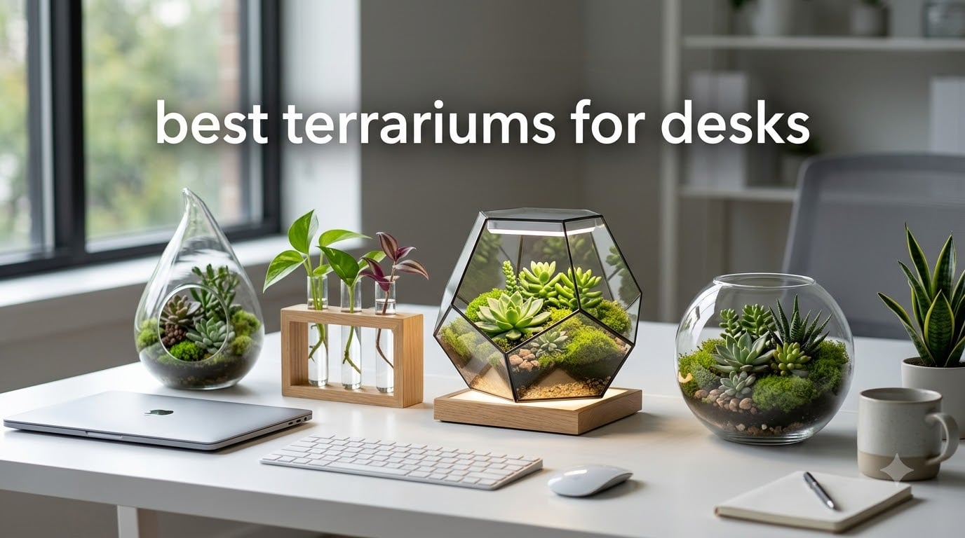 best terrariums for desks