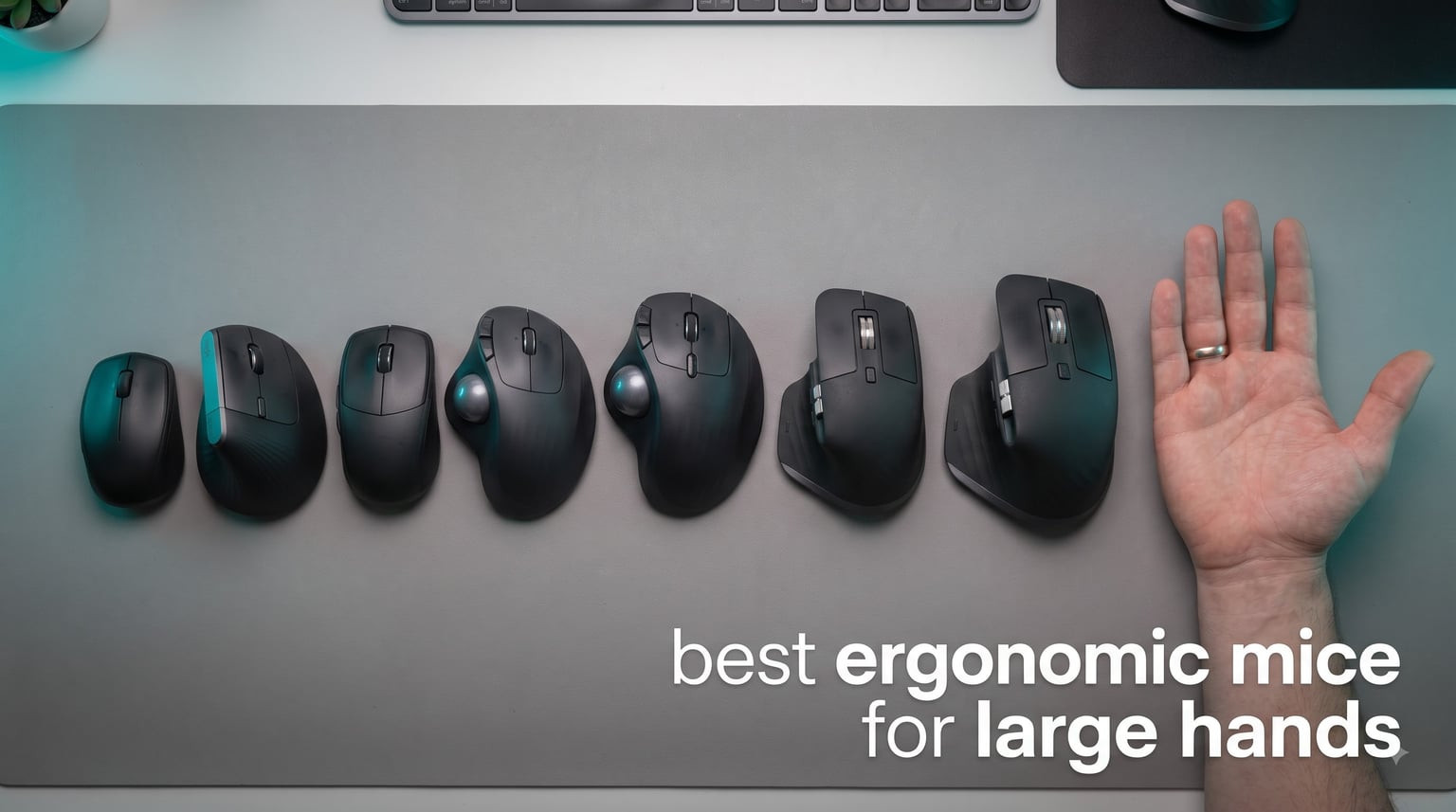best ergonomic mice for large hands