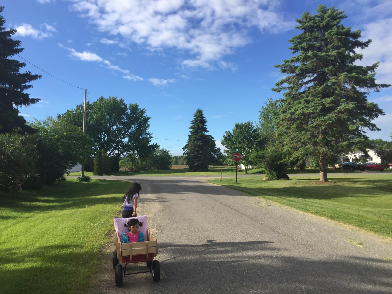 Radio Flyer Kids Wagon, Rolling Cart, Beach Cart, Carts with Wheels customer photo 1