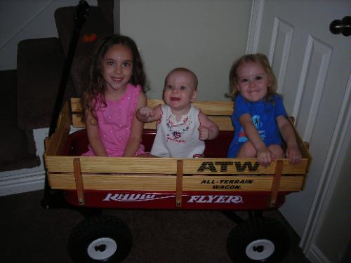 Radio Flyer Kids Wagon, Rolling Cart, Beach Cart, Carts with Wheels customer photo 2