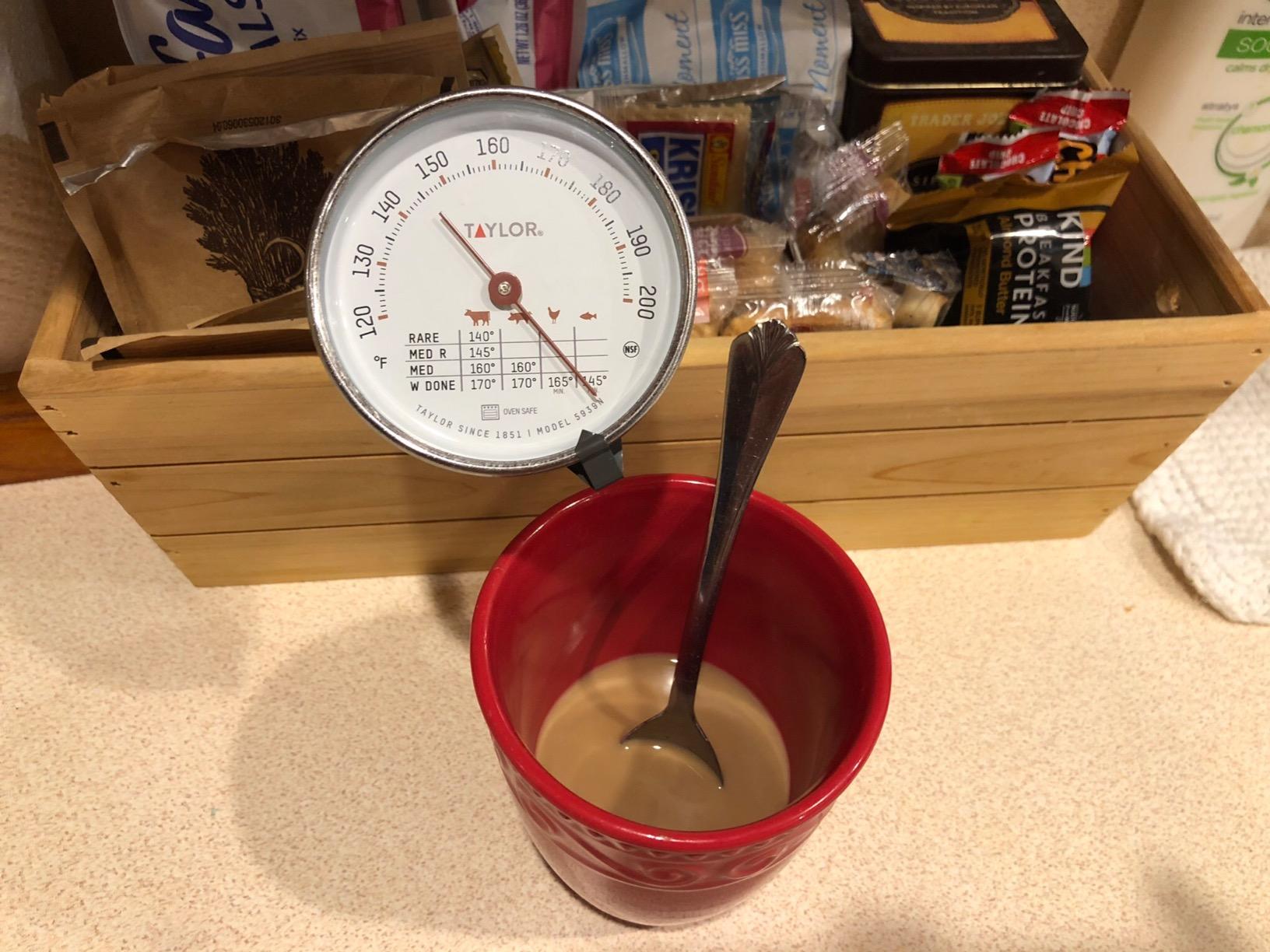 Taylor Leave-in Meat Oven Safe Compact Analog Dial Meat Food Grill BBQ Kitchen Cooking Thermometer, 3 inch dial, Stainless Steel customer photo 2