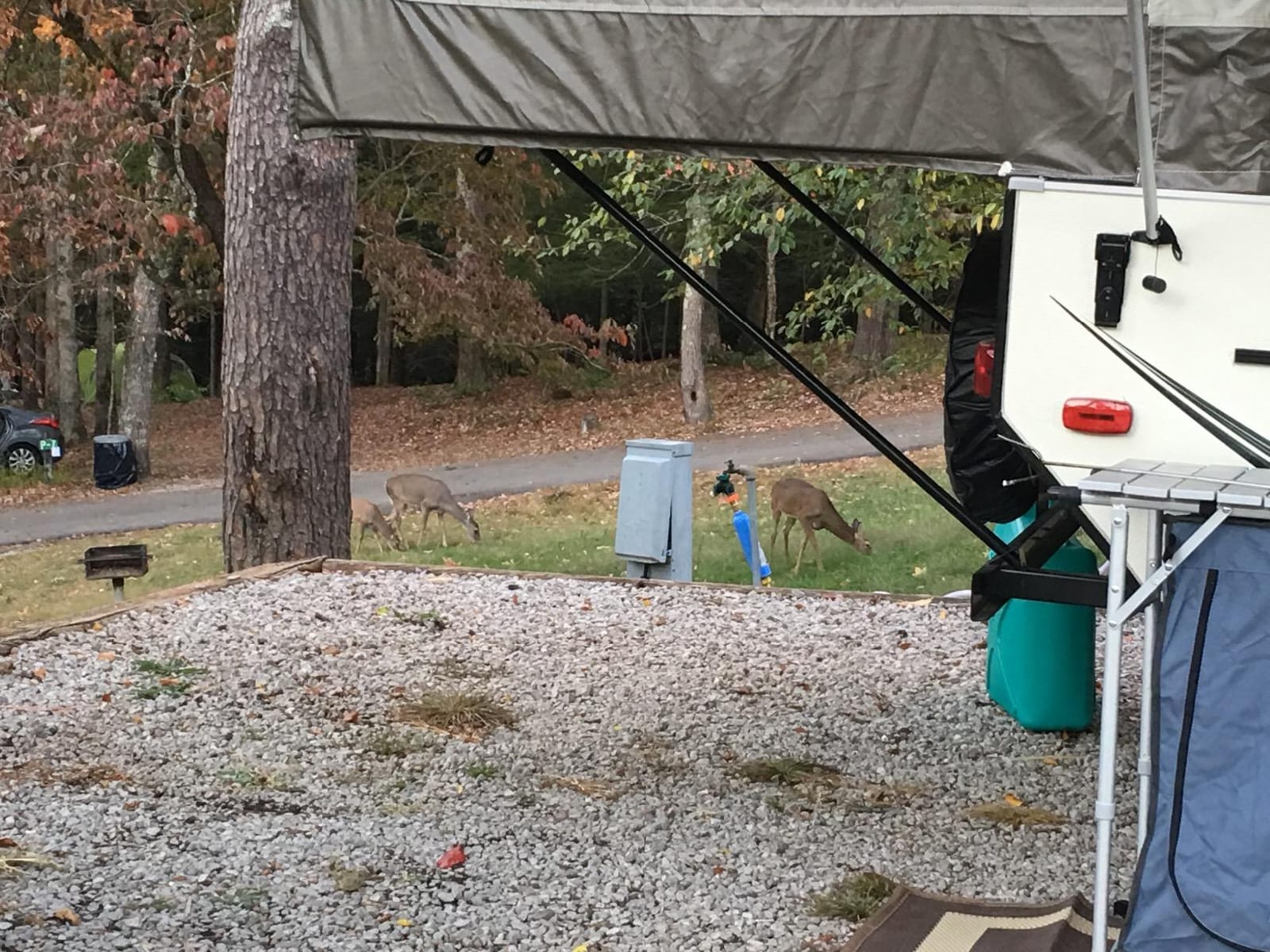 Camco Tastepure RV Water Filter - GAC & KDF Filtration - Made in the USA customer photo 1