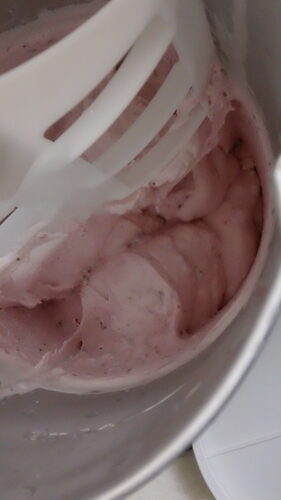 Hamilton Beach Automatic Electric Ice Cream Maker & Frozen Yogurt Machine customer photo 2