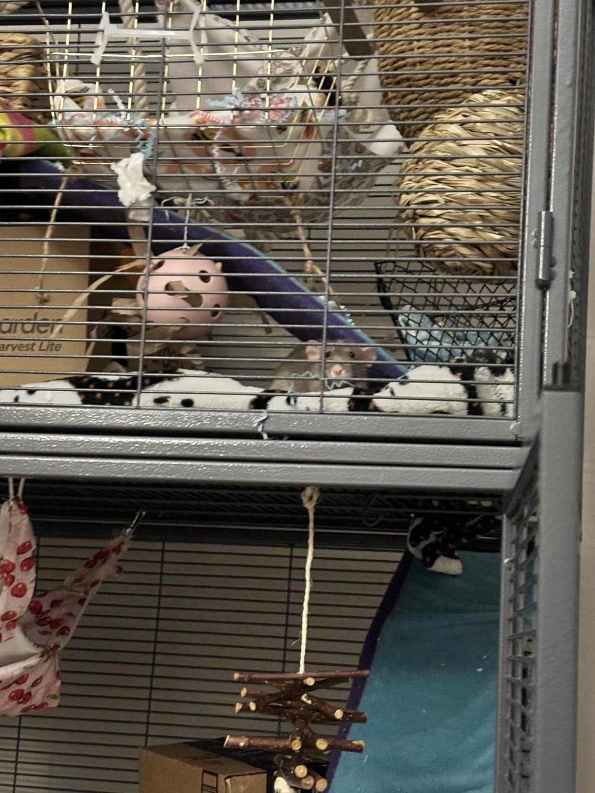 Critter Nation by MidWest Double Unit Small Animal Cage customer photo 2