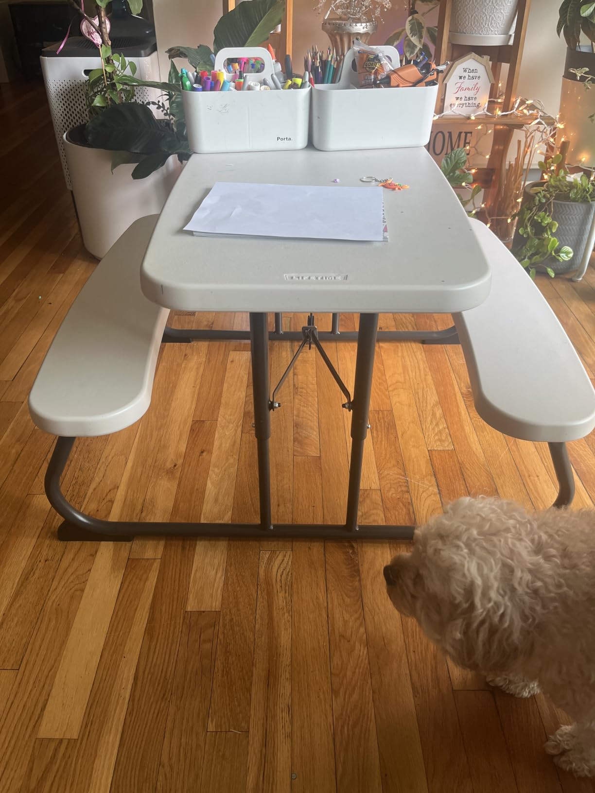 LIFETIME Kids Picnic Table, Foldable Outdoor Furniture customer photo 1