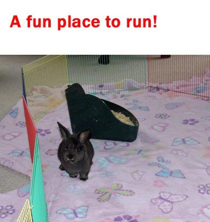 Prevue Pet Products Multi-Color Small Pet Playpen - Multi-Color customer photo 2