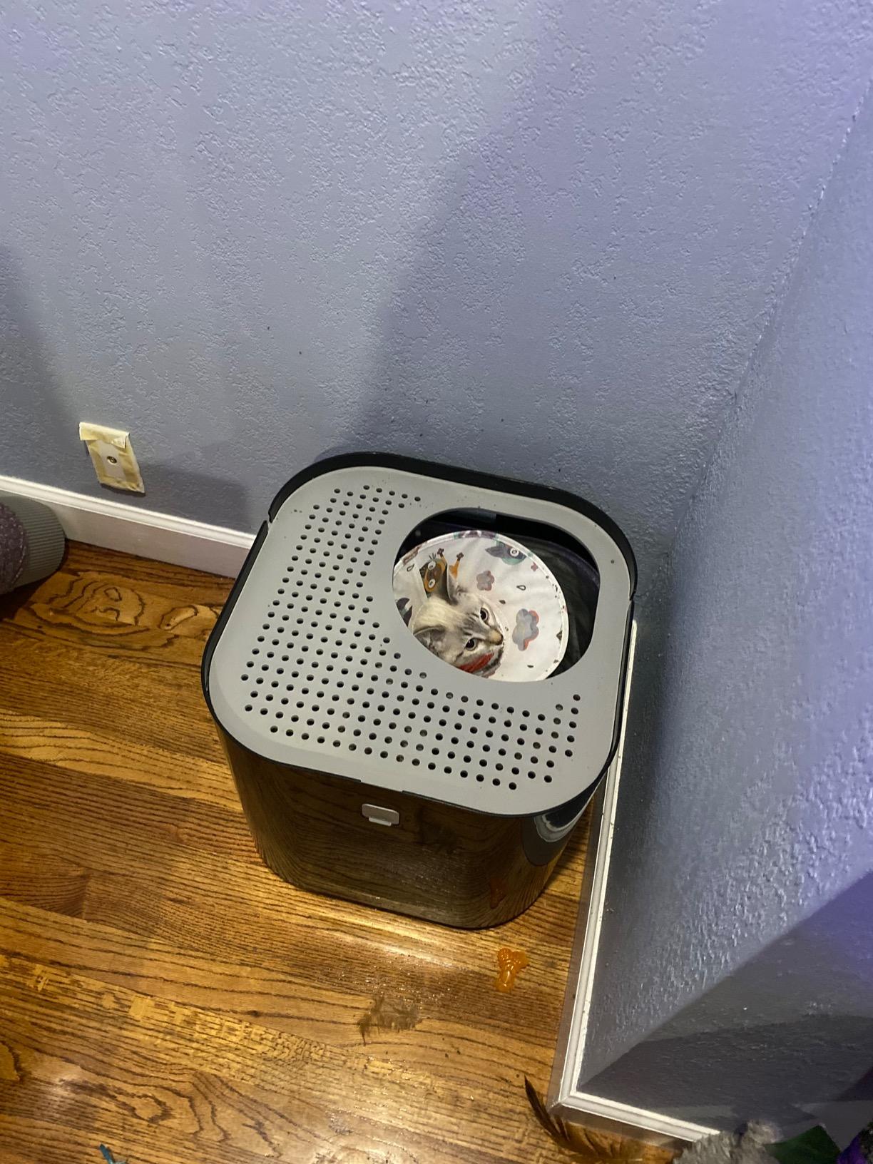 Modkat Top-Entry Cat Litter Box, Leak-Proof, Liner & Scoop, White customer photo 1