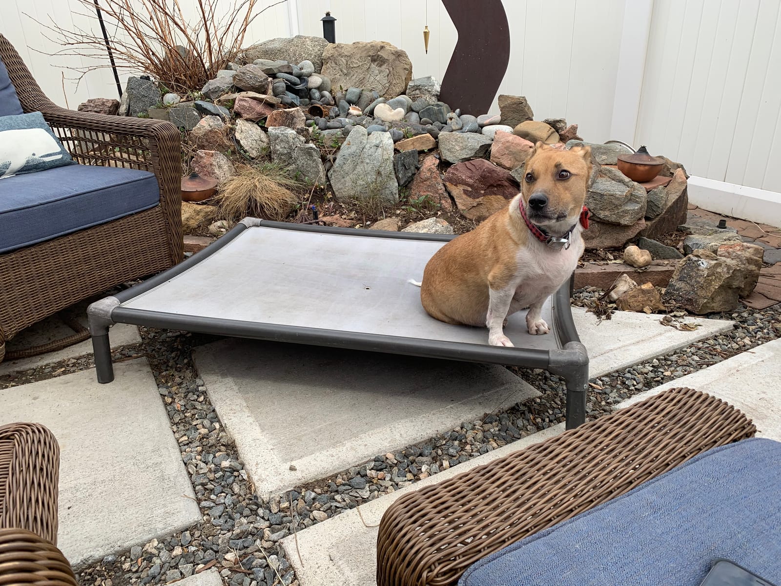 Kuranda Chewproof Elevated Dog Bed - Walnut PVC - 30