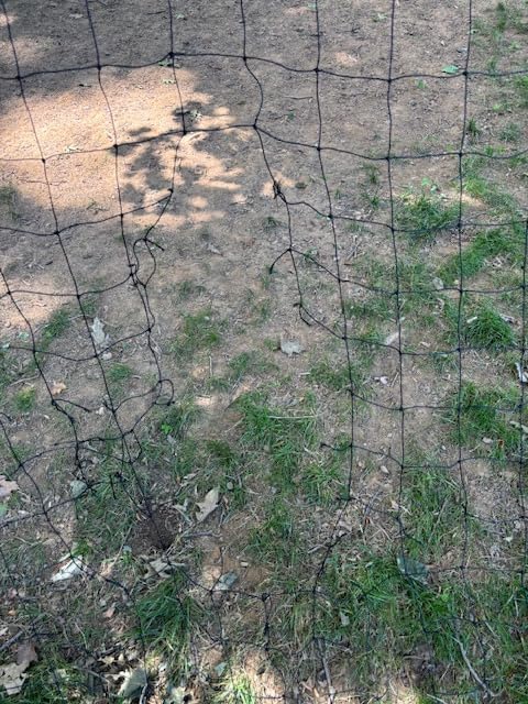 QuickPlay Kickster Ultra Portable Soccer Goals for Backyard Play customer photo 1