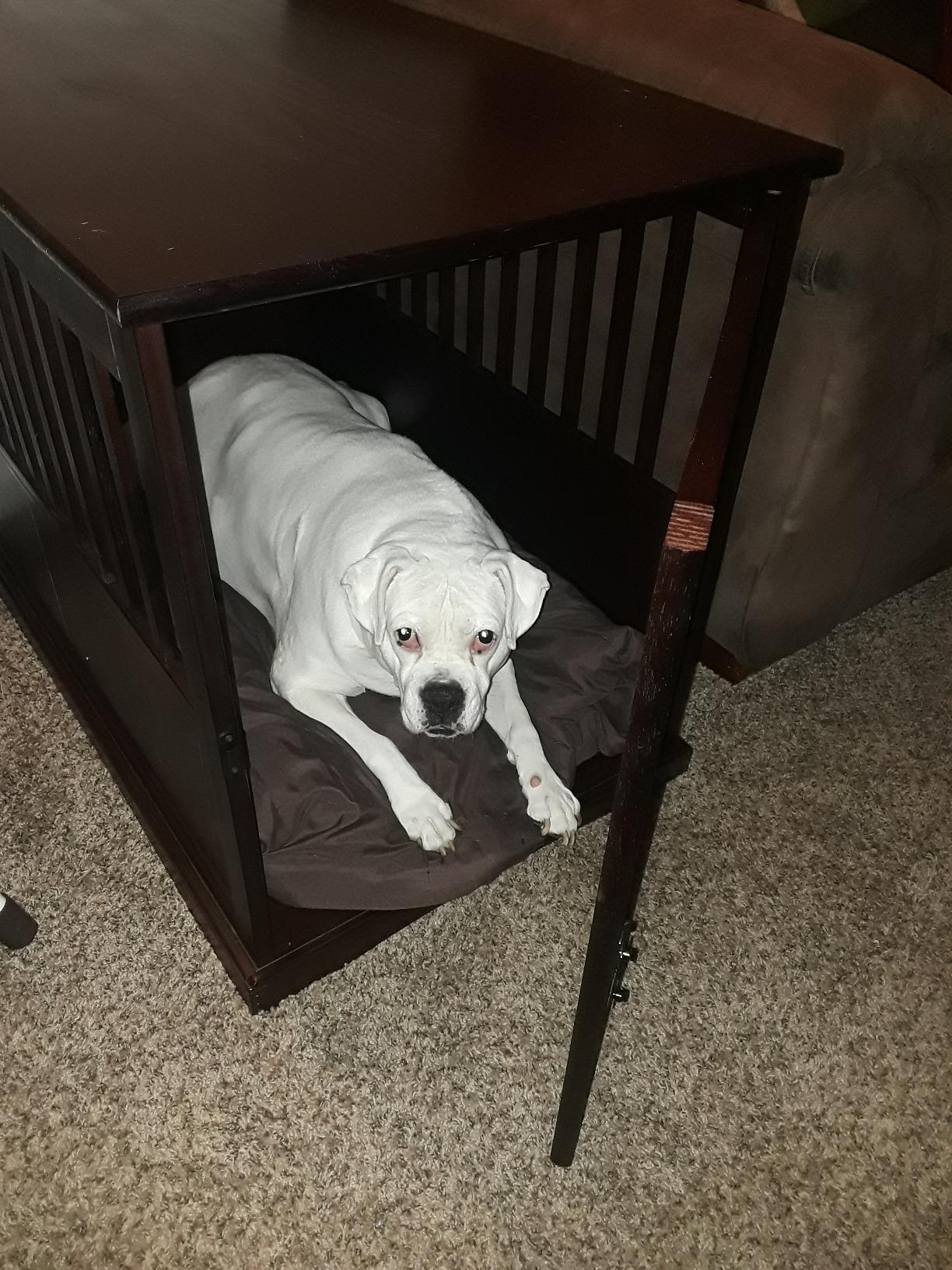 Casual Home Wooden Medium Pet Crate, End Table, Espresso customer photo 2