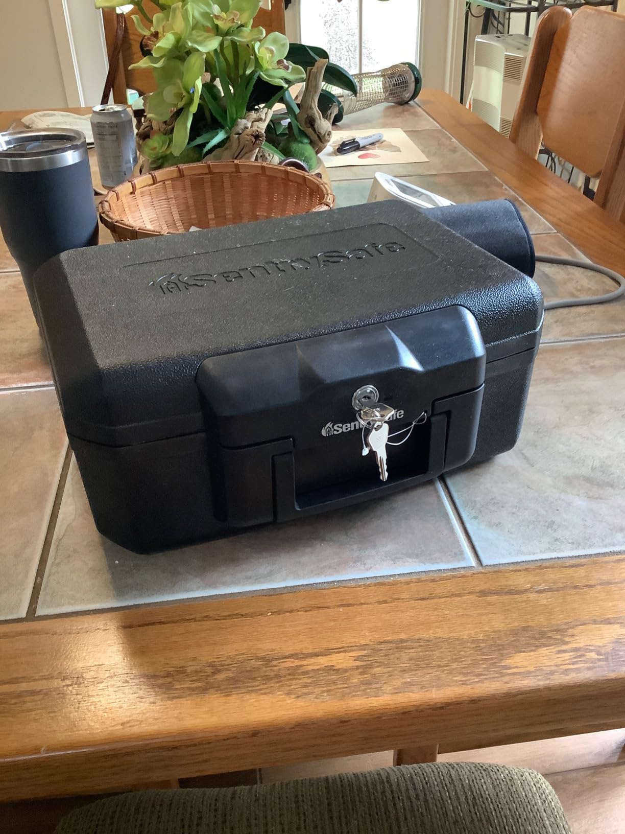 SentrySafe Fireproof Safe Box with Key Lock, Chest Safe with Carrying Handle to Secure Money, Jewelry, Documents, 0.25 Cubic Feet, 6.3 x 15.3 x 12.1 Inches, 1160 customer photo 2