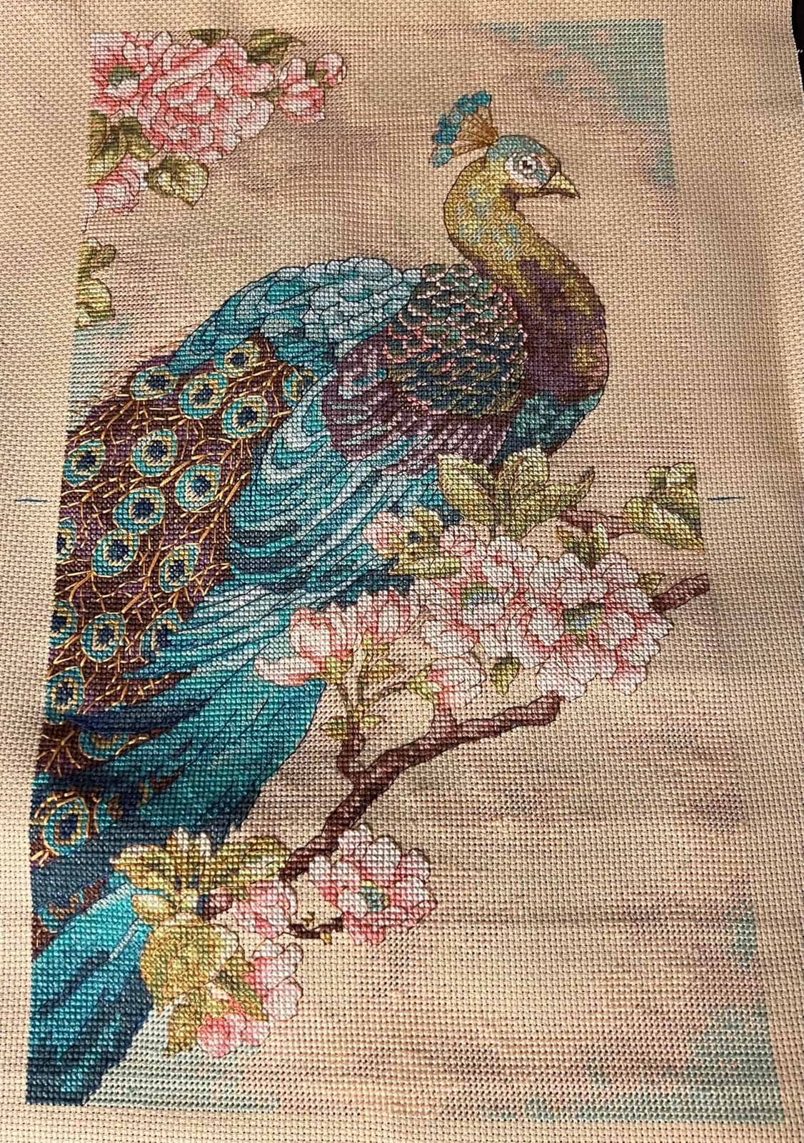 Dimensions Indian Peacock Counted Cross Stitch Kit, 14 Count Natural Aida, 9'' x 15'' customer photo 1