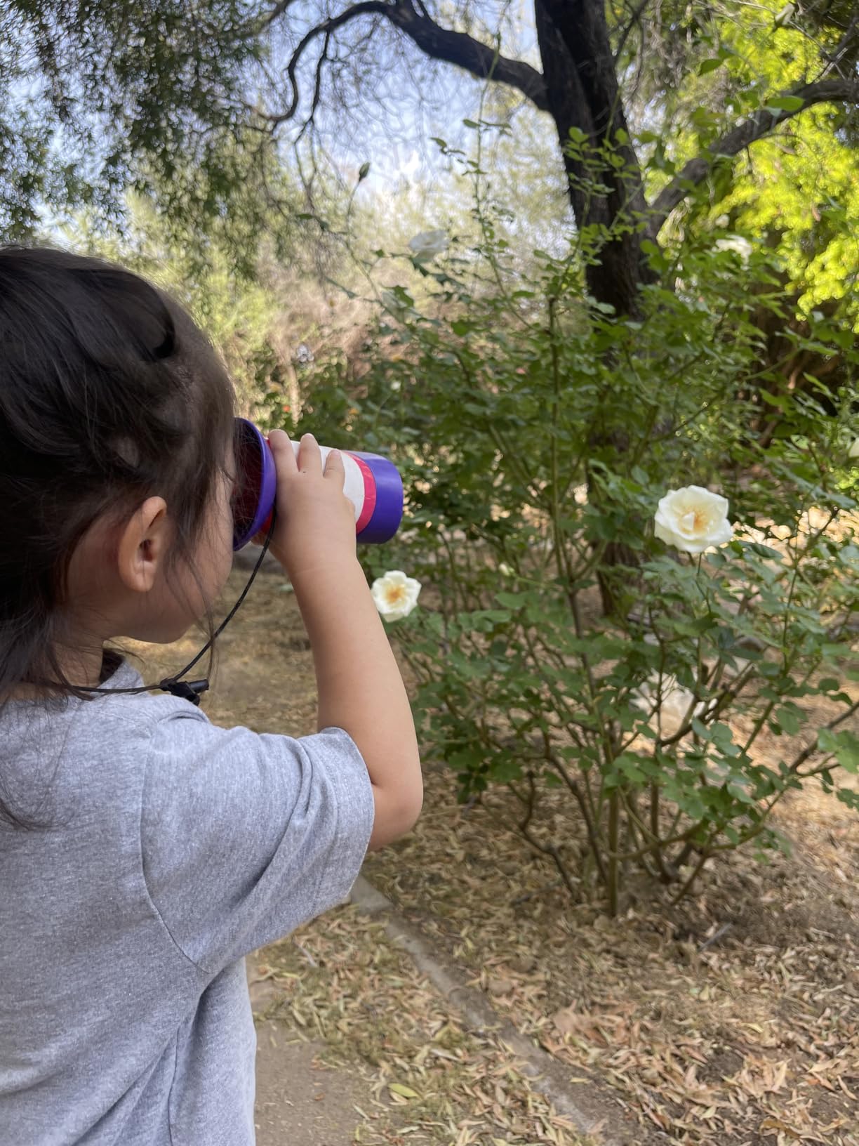 Educational Insights GeoSafari Kidnoculars - Toy Binoculars for Kids, Outdoor Toys for Kids Ages 4-8, Toddler Camping and Nature Toys, Lightweight Binoculars with Neck Strap, Bird Watching Gear customer photo 2